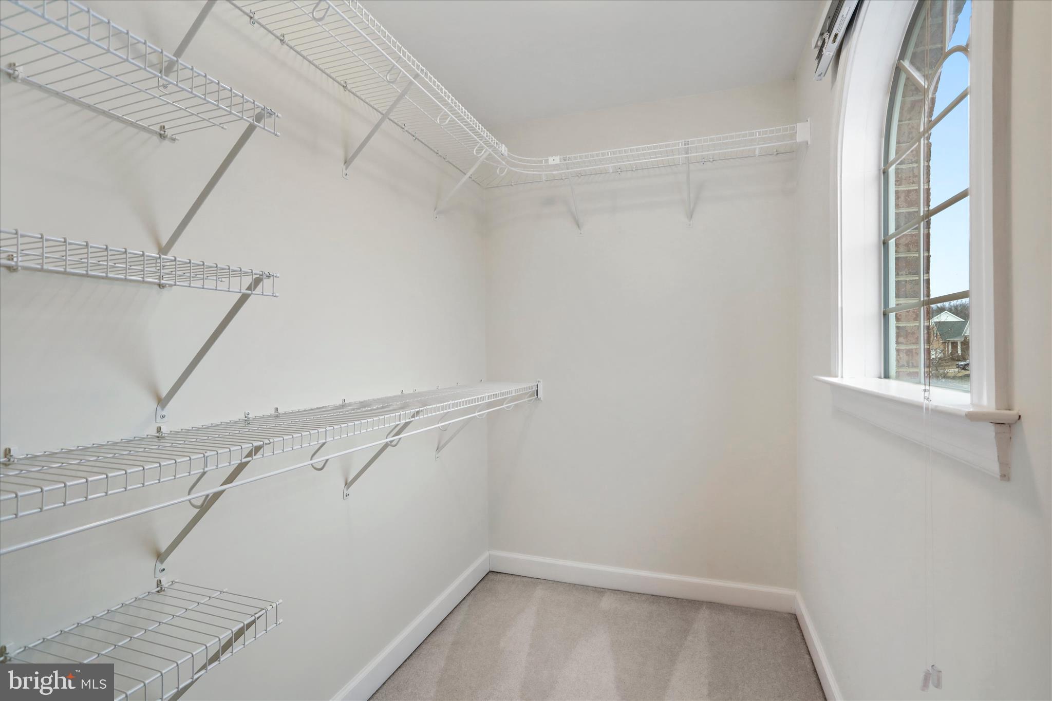 CANTER ESTATES - Residential