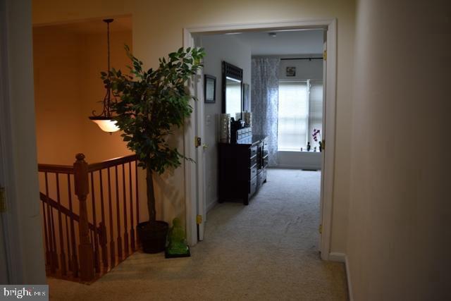 RESIDENCES AT FAIR CHASE - Residential