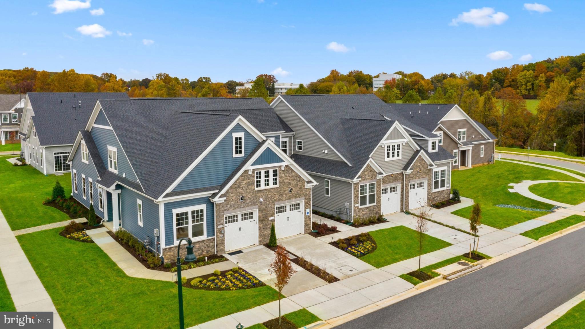 THE VILLAGE AT CABIN BRANCH - Residential