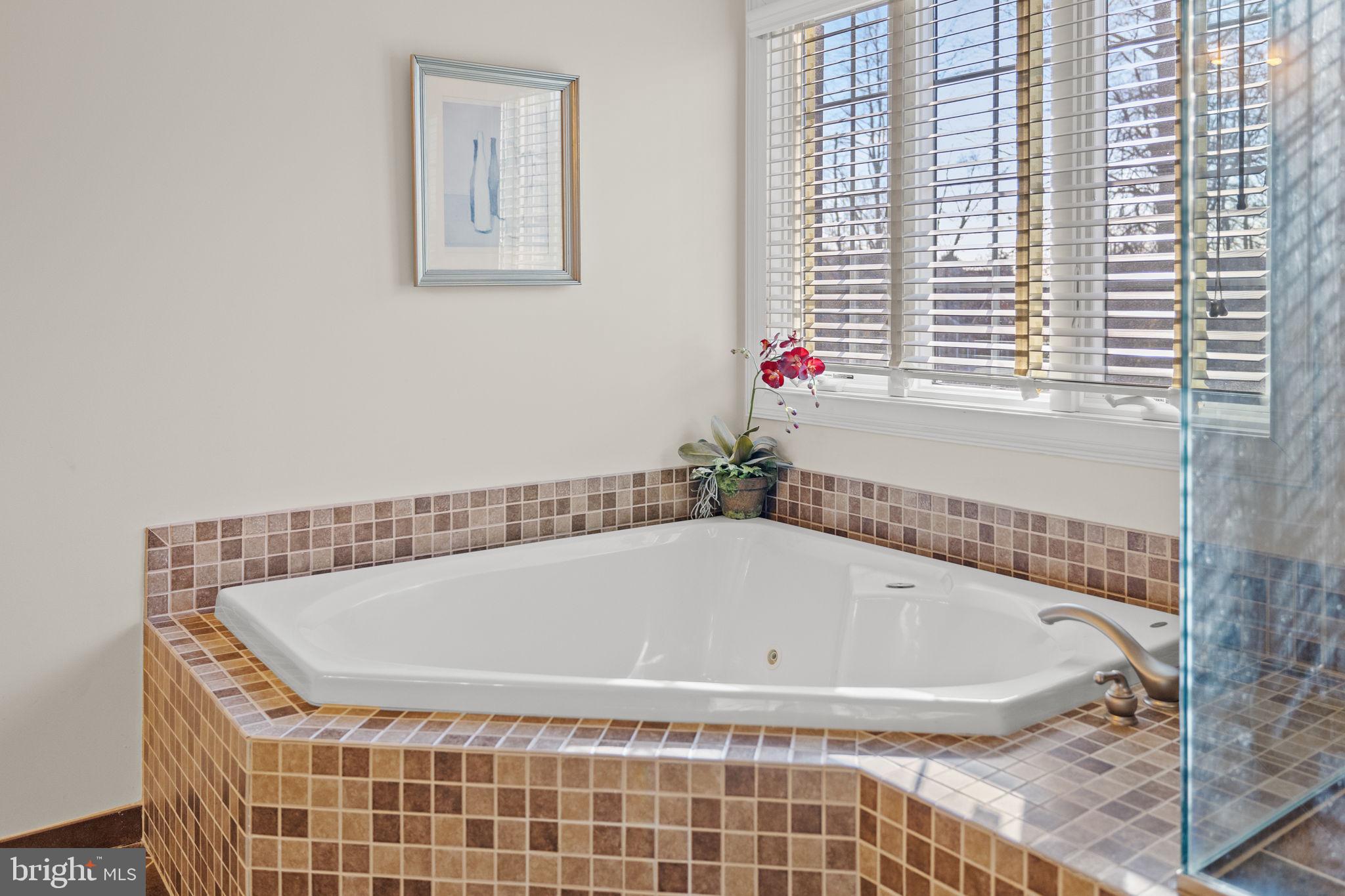 DELANCEY COURT - Residential