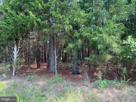 Vacant Land For Sale - Tidewater Trail<br/> Essex County, CENTER CROSS, VA 22437