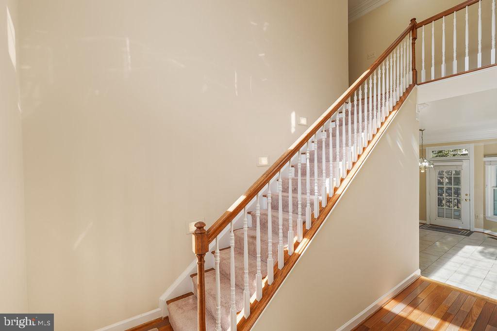 CLOPPERS MILL - Residential