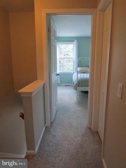 LONDON TOWNE - Residential Lease