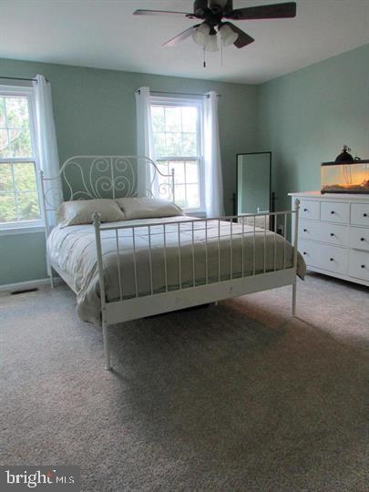 LONDON TOWNE - Residential Lease