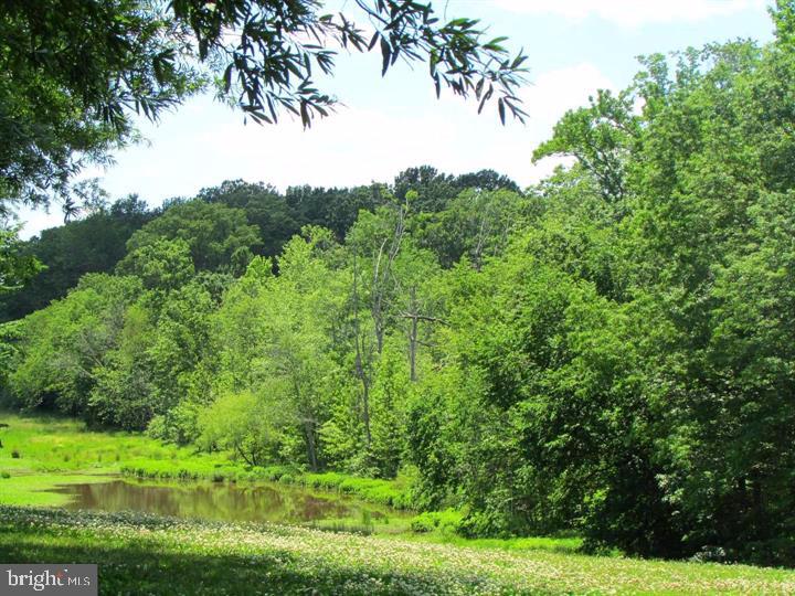 LONDON TOWNE - Residential Lease