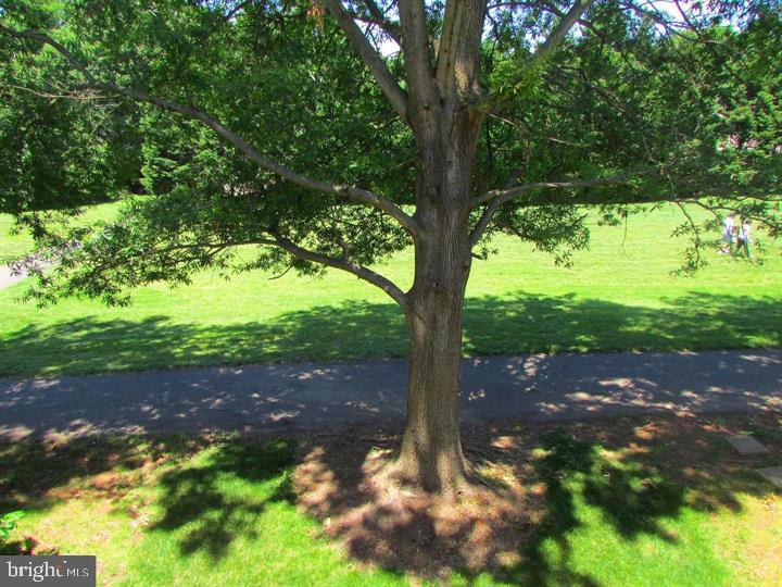 LONDON TOWNE - Residential Lease