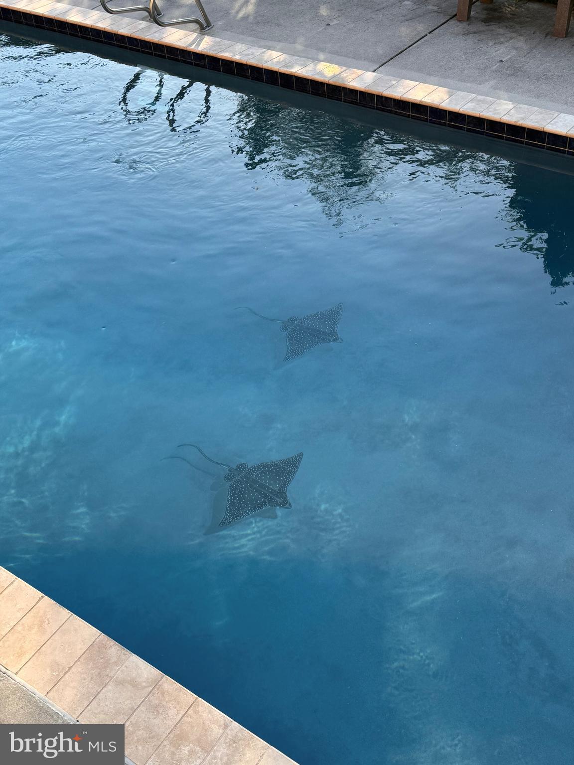 COUNTRY CLUB HILLS - Residential