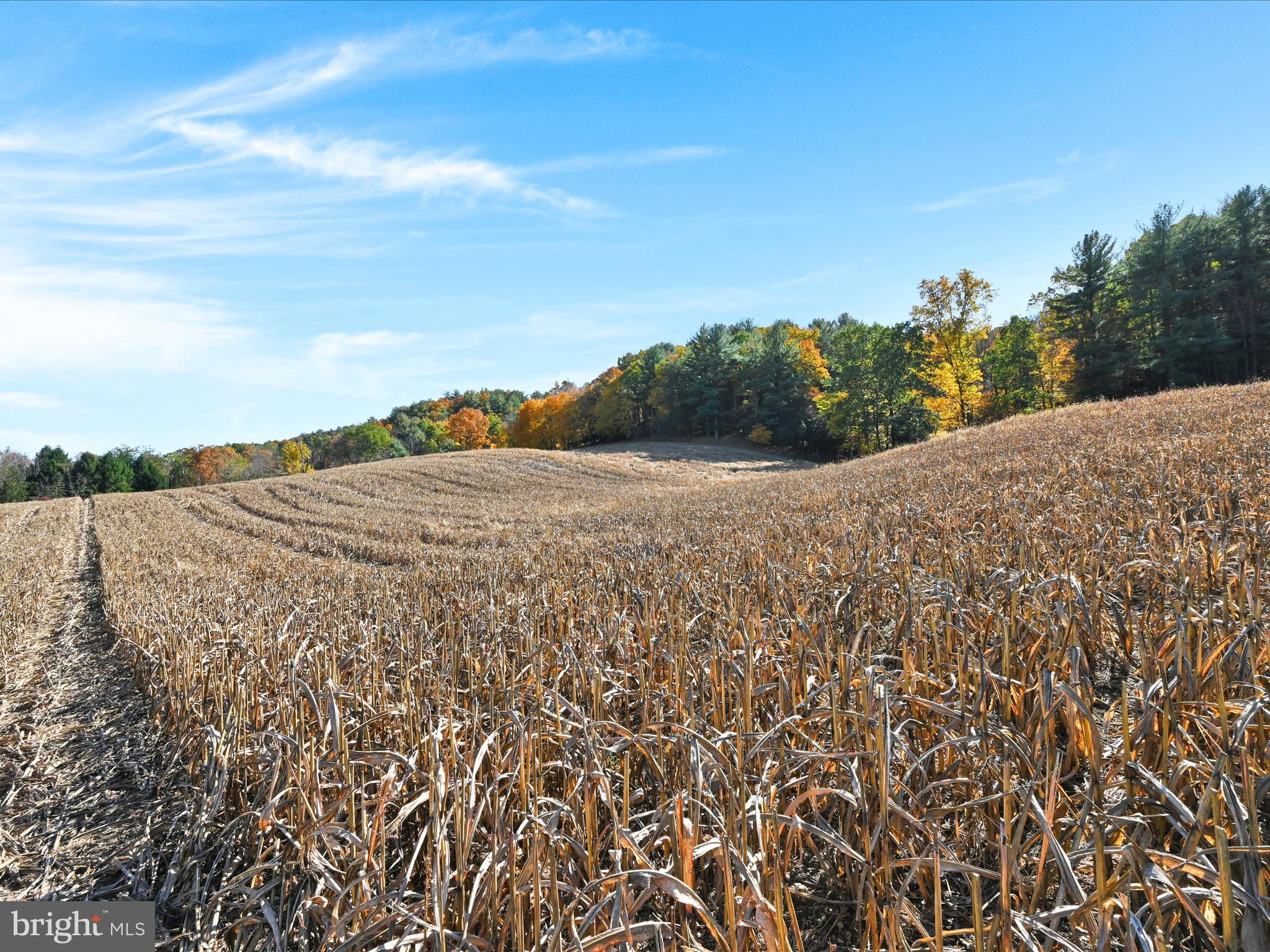 NONE AVAILABLE - Land