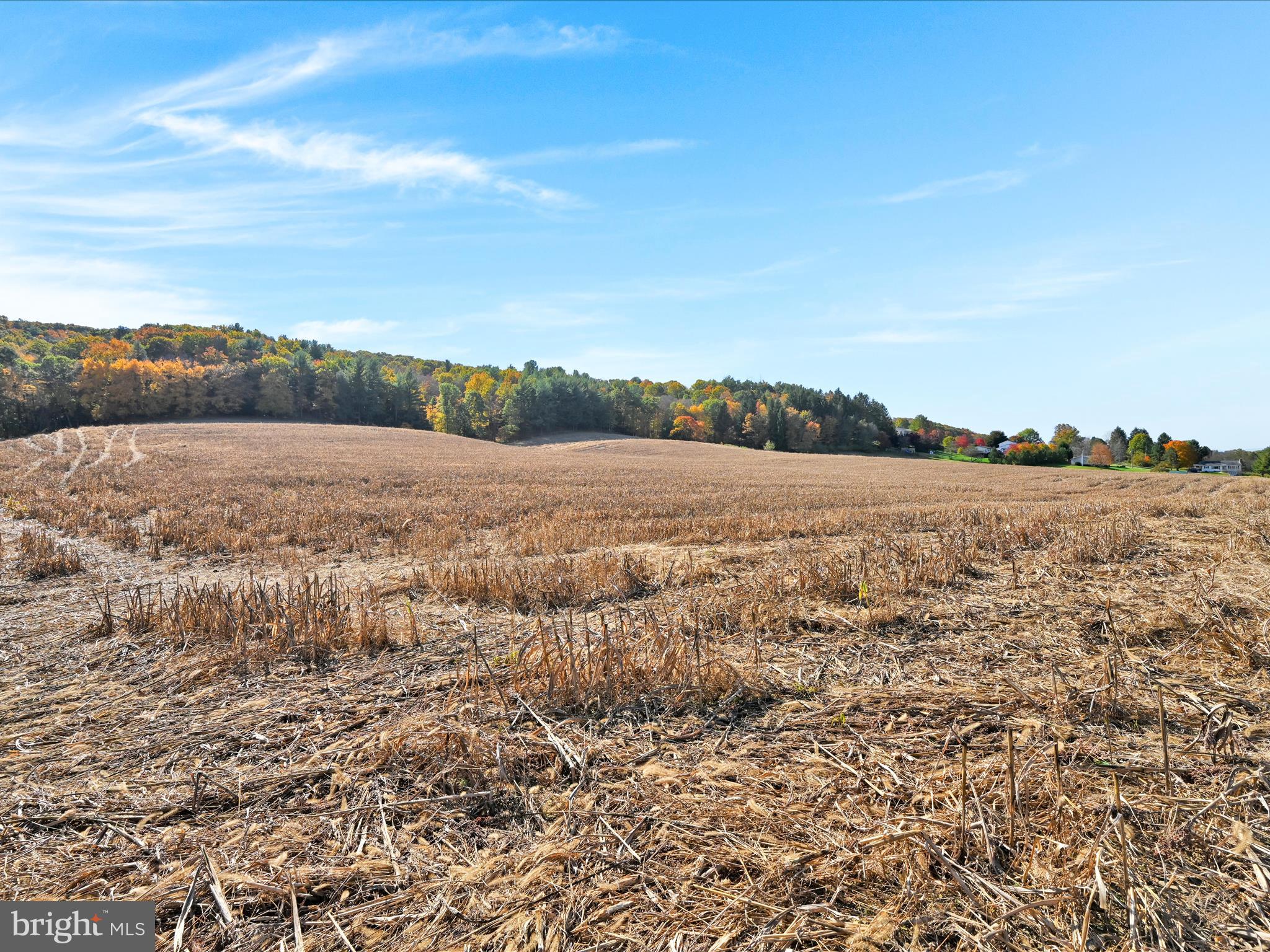 NONE AVAILABLE - Land