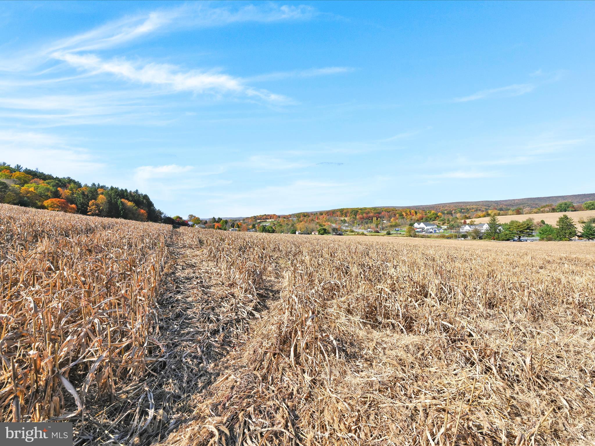 NONE AVAILABLE - Land