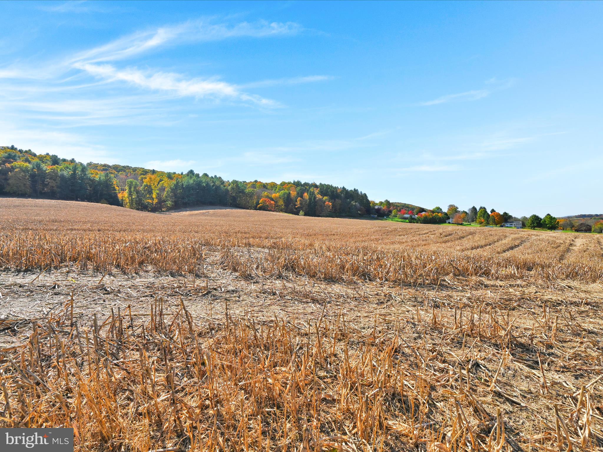 NONE AVAILABLE - Land