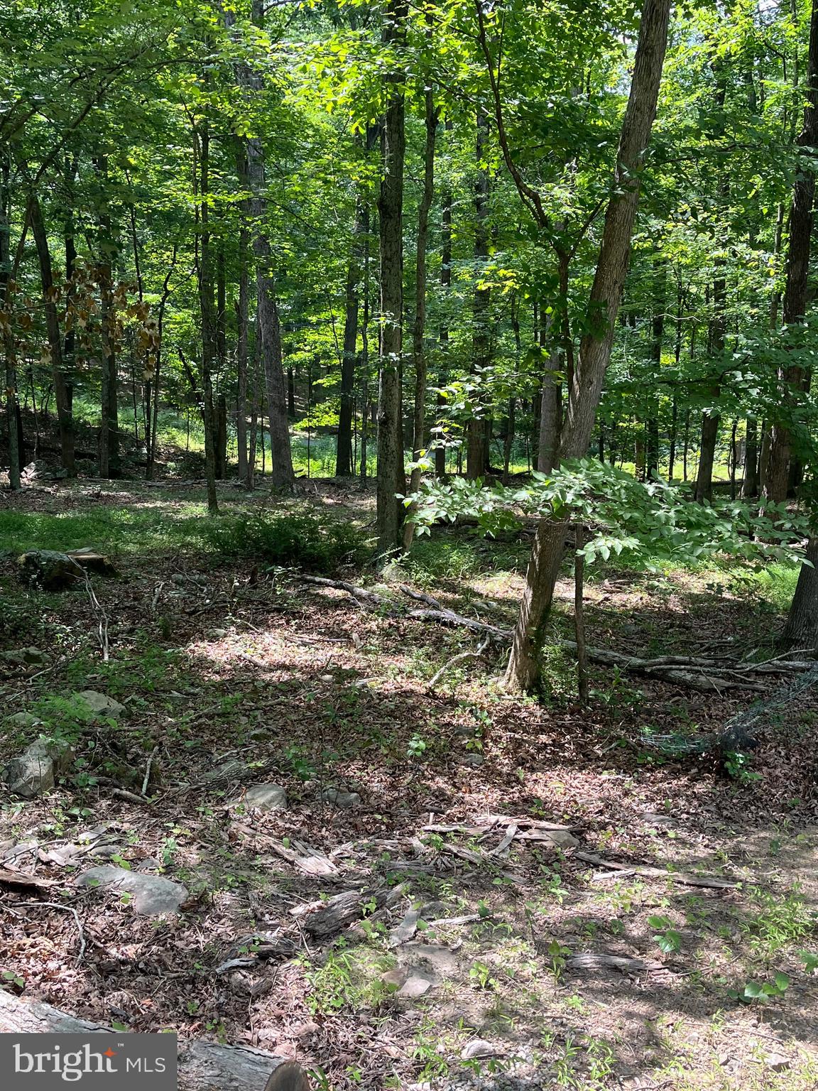 43 SENECA RIDGE ROAD