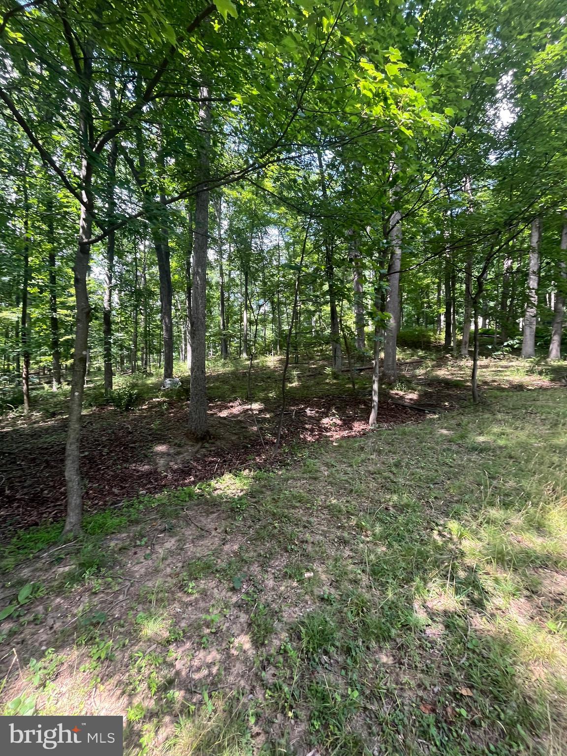 43 SENECA RIDGE ROAD