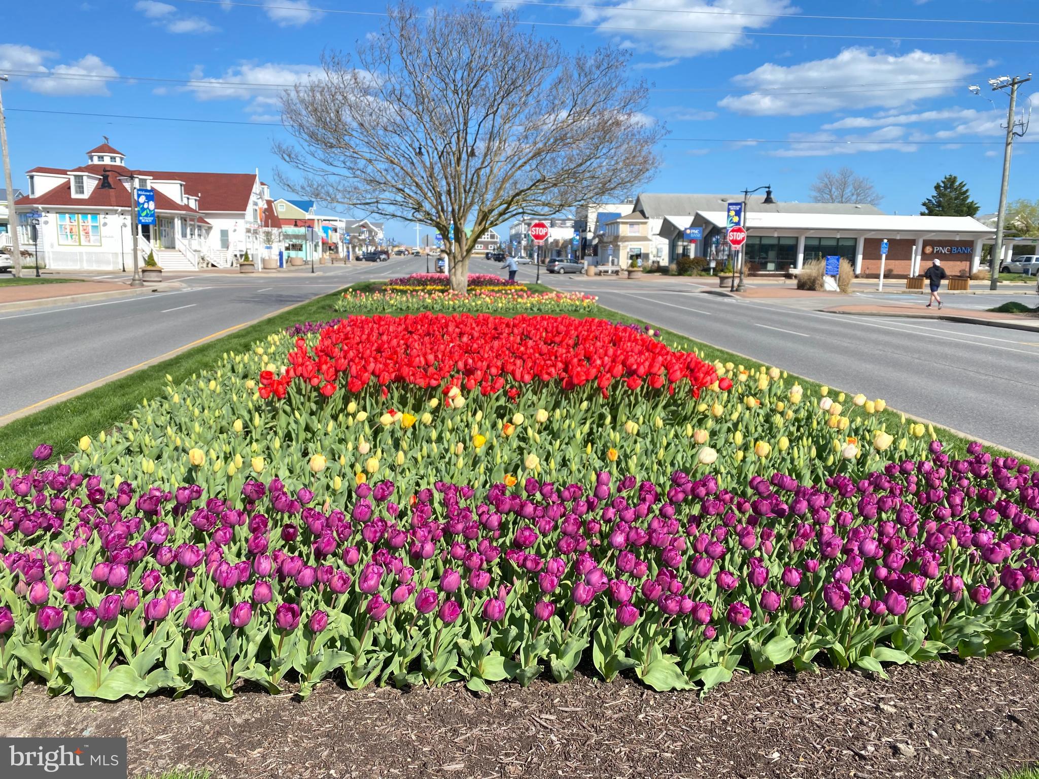 BETHANY PROPER TOWNHOMES - Residential