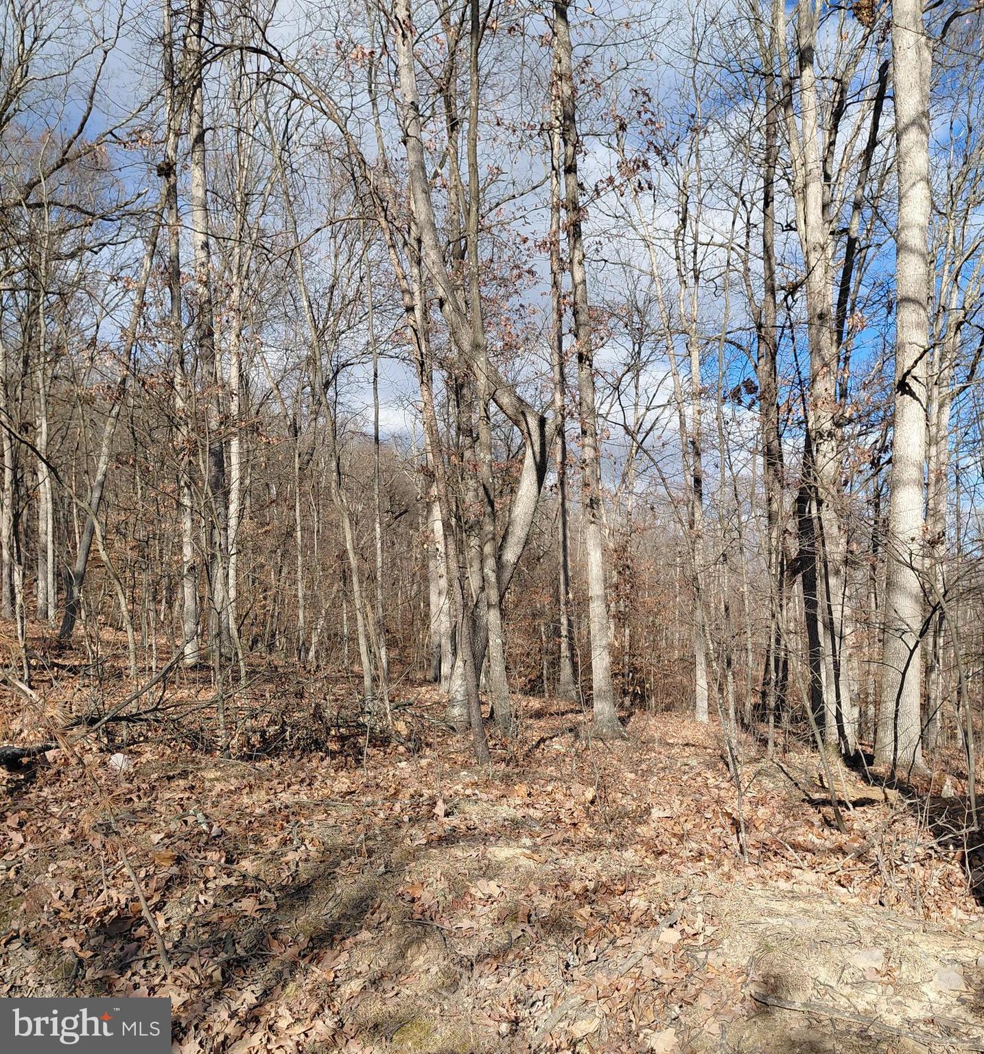 CARLA ACRES - Residential