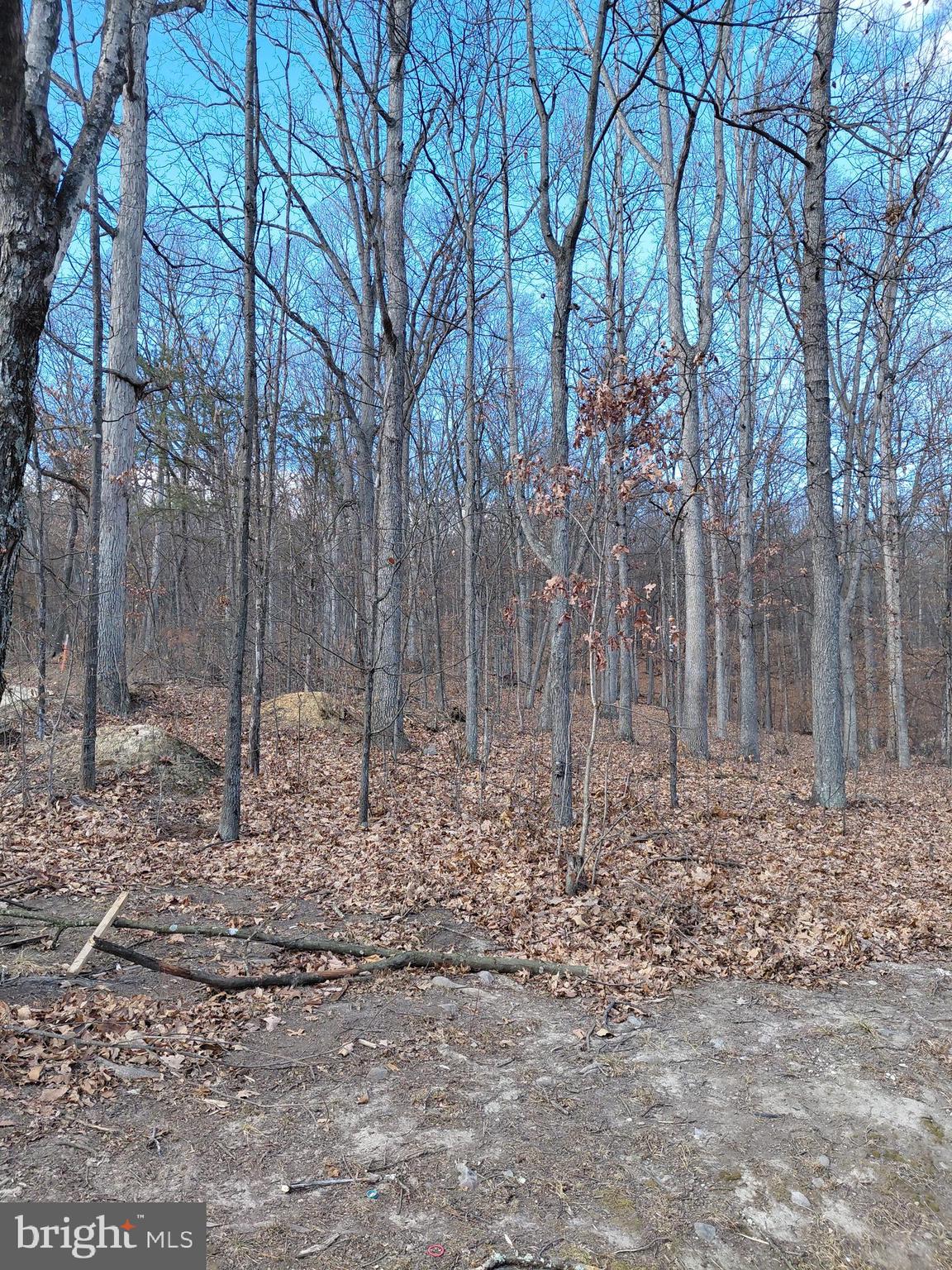 CARLA ACRES - Residential