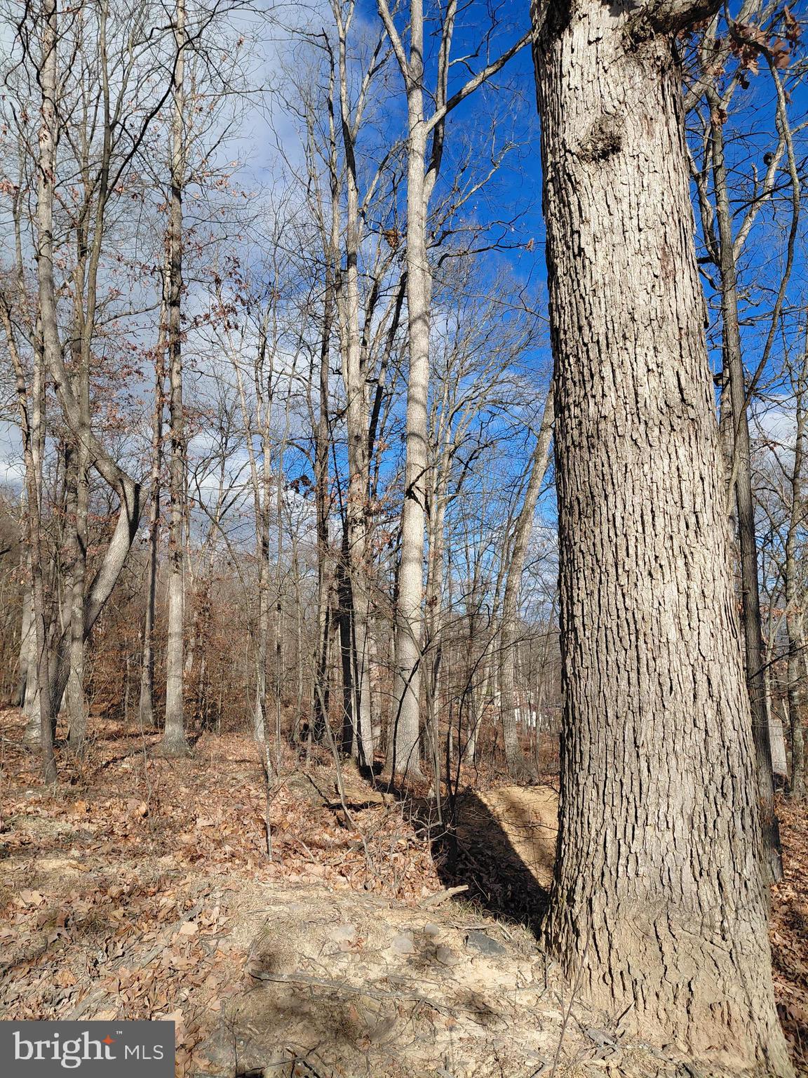 CARLA ACRES - Residential