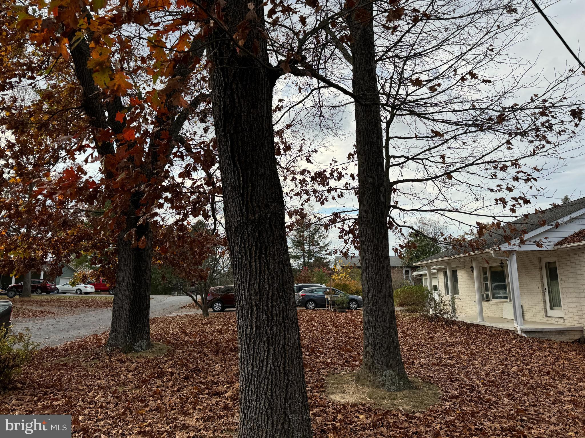 CLOHAN - Residential