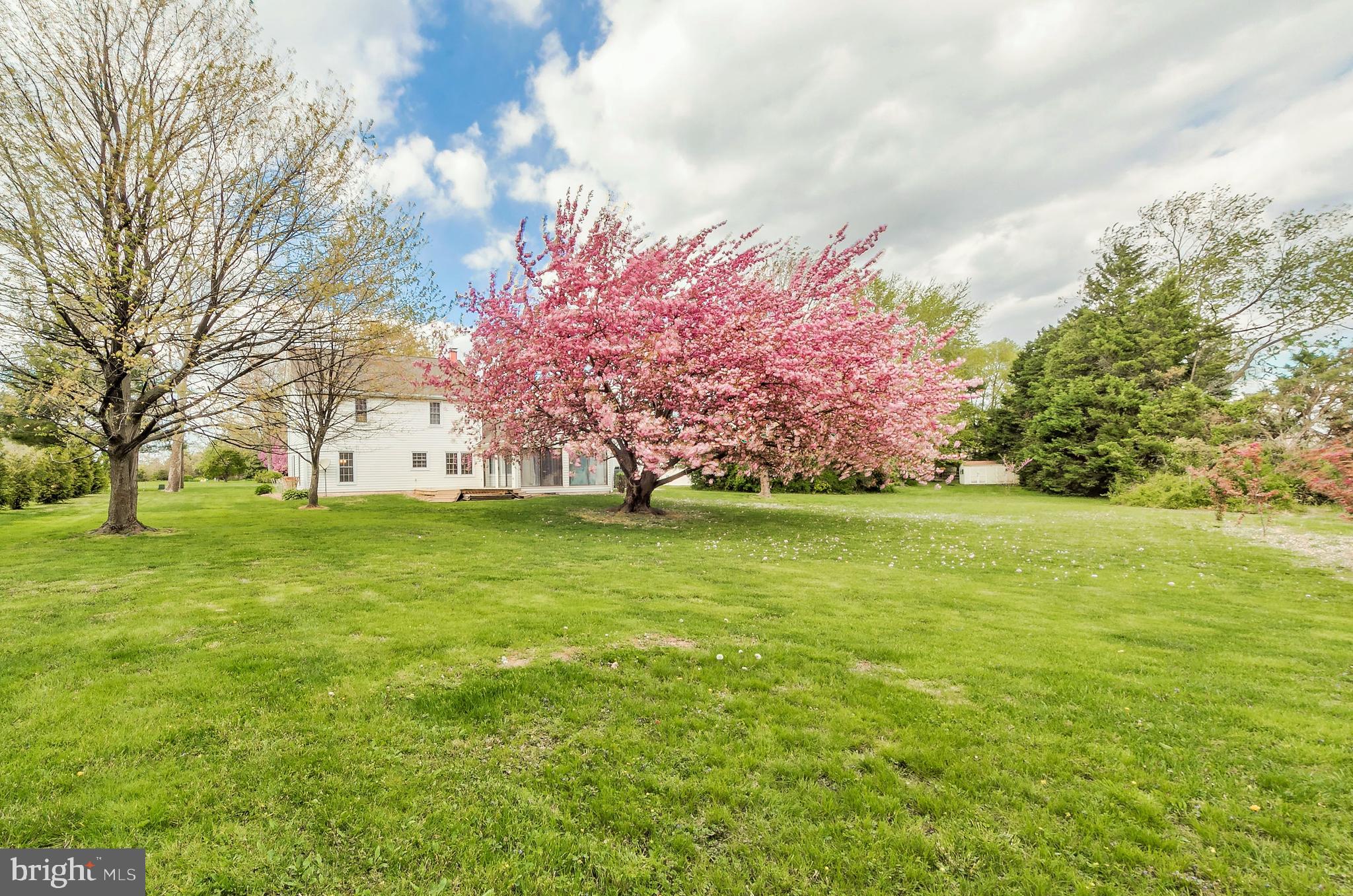 QUEEN ANNE COLONY - Residential