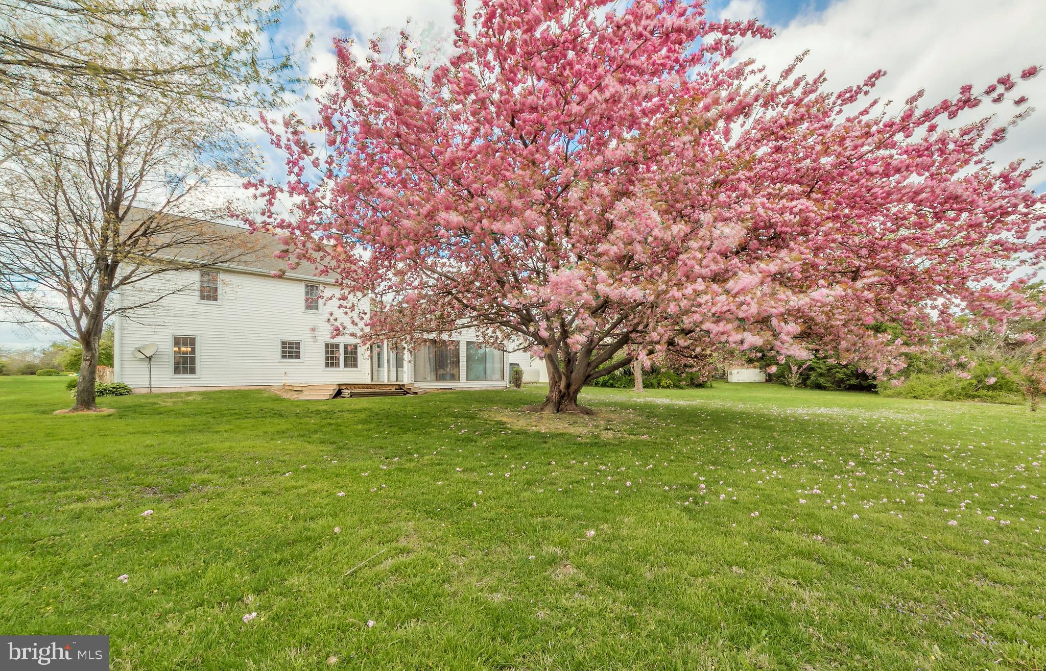 QUEEN ANNE COLONY - Residential