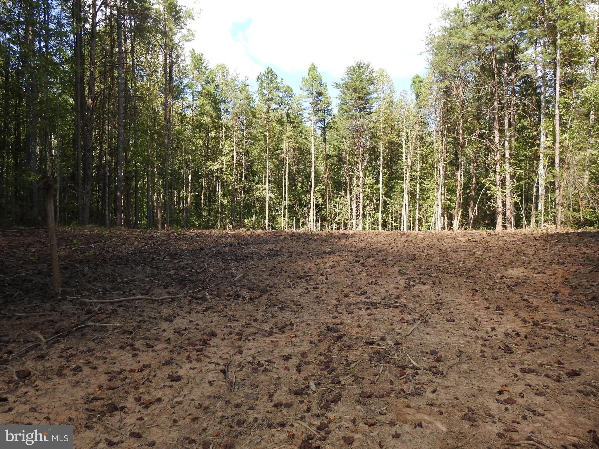 EQUESTRIAN LANDING - Land