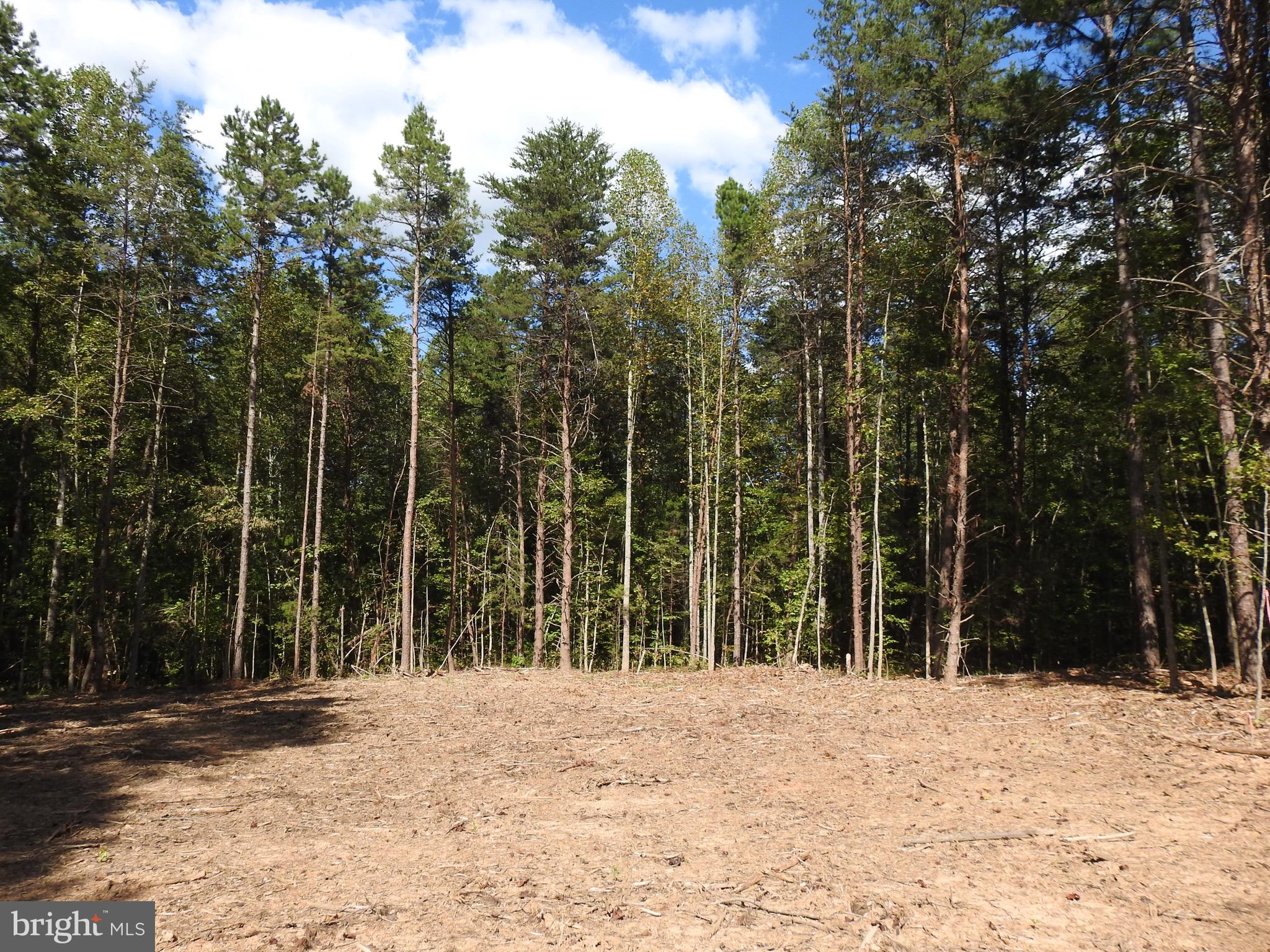 EQUESTRIAN LANDING - Land