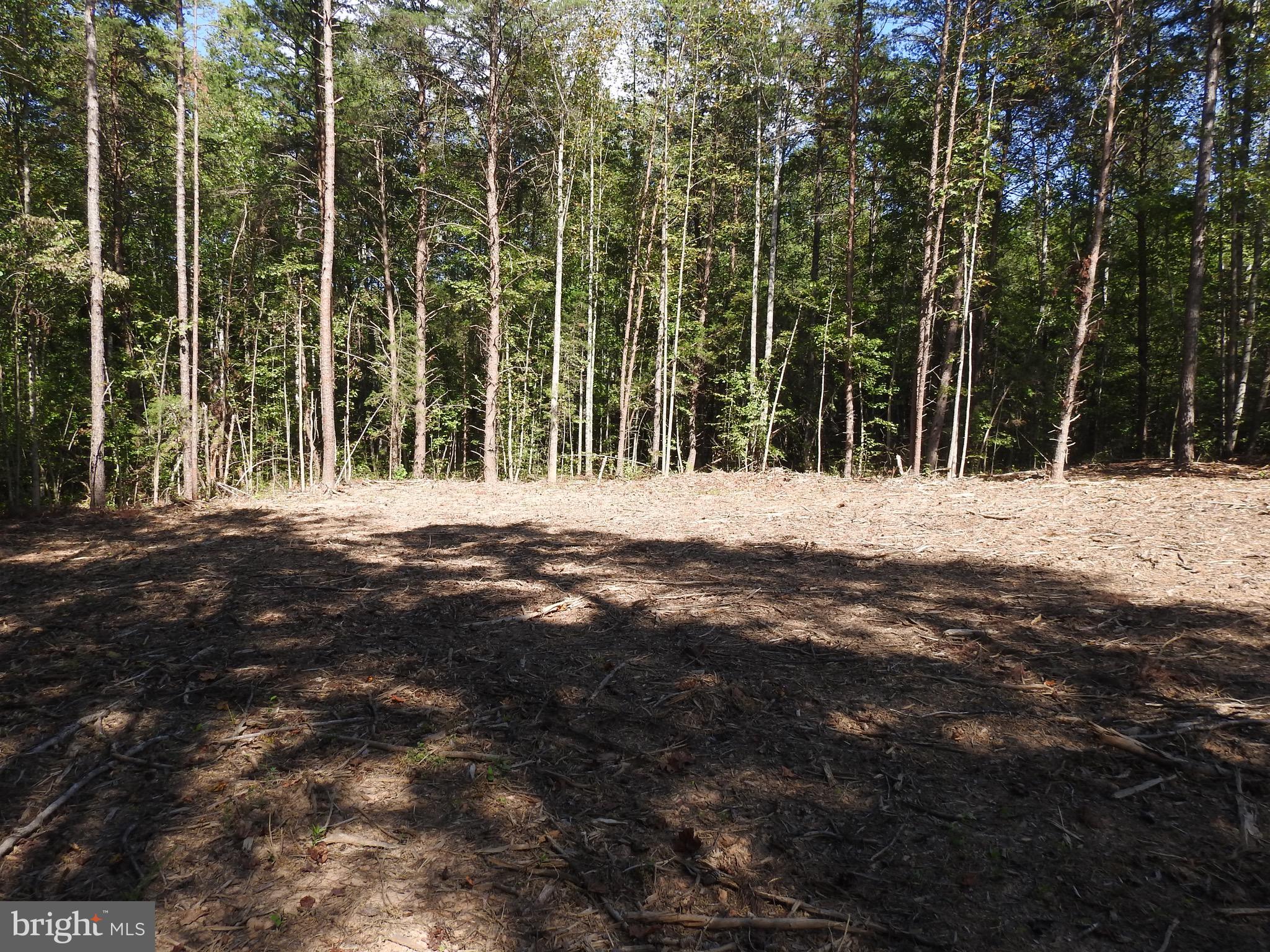 EQUESTRIAN LANDING - Land