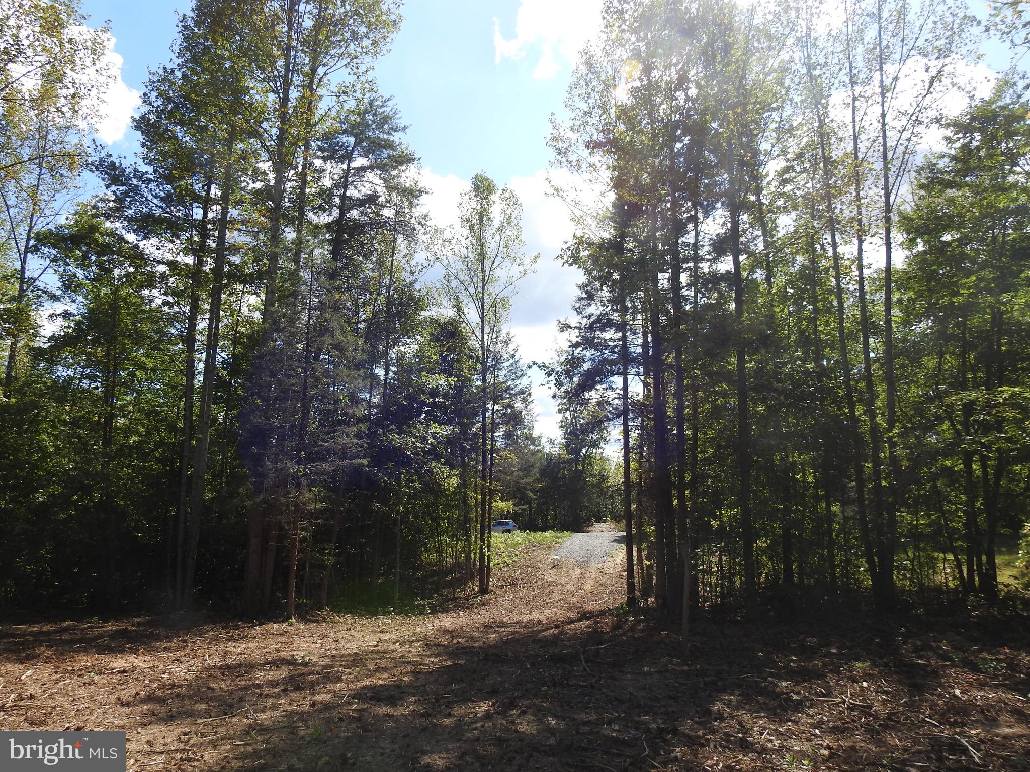 EQUESTRIAN LANDING - Land