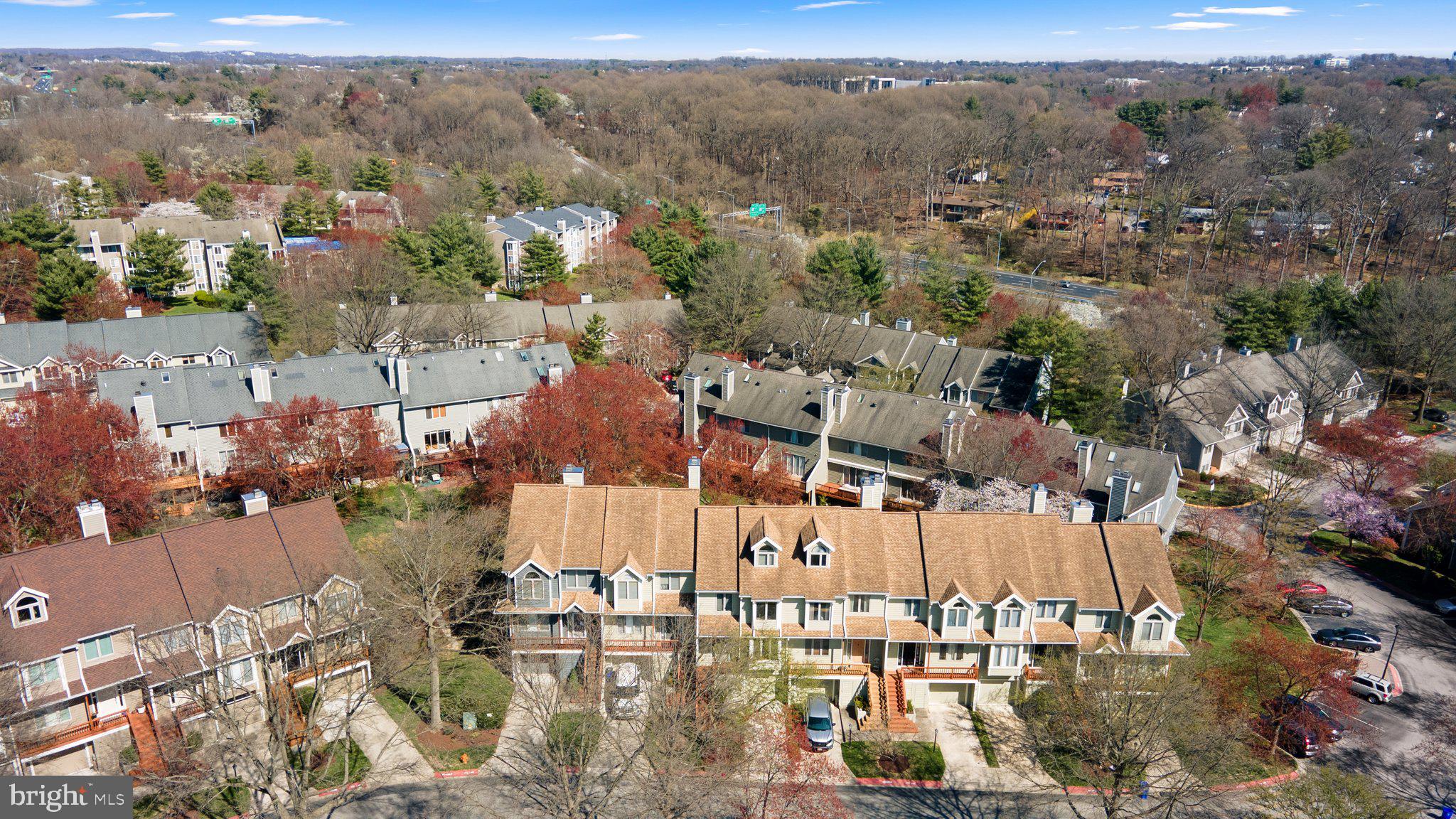 DORSEY SEARCH - Residential