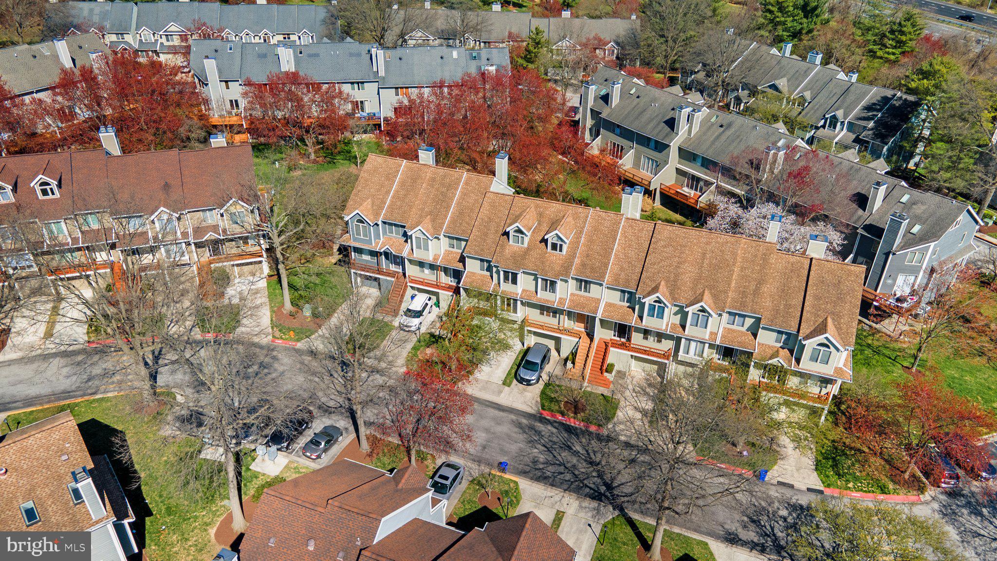 DORSEY SEARCH - Residential