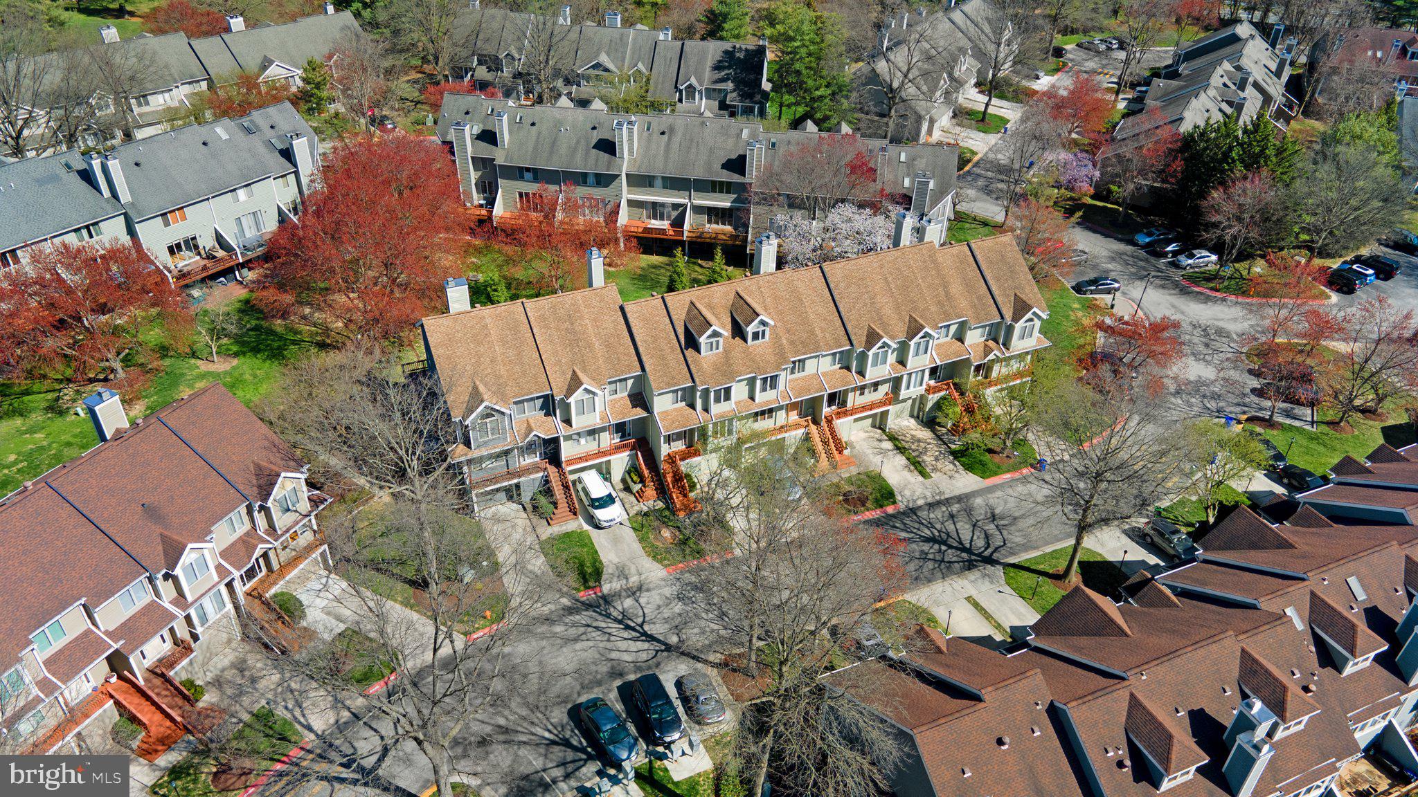 DORSEY SEARCH - Residential