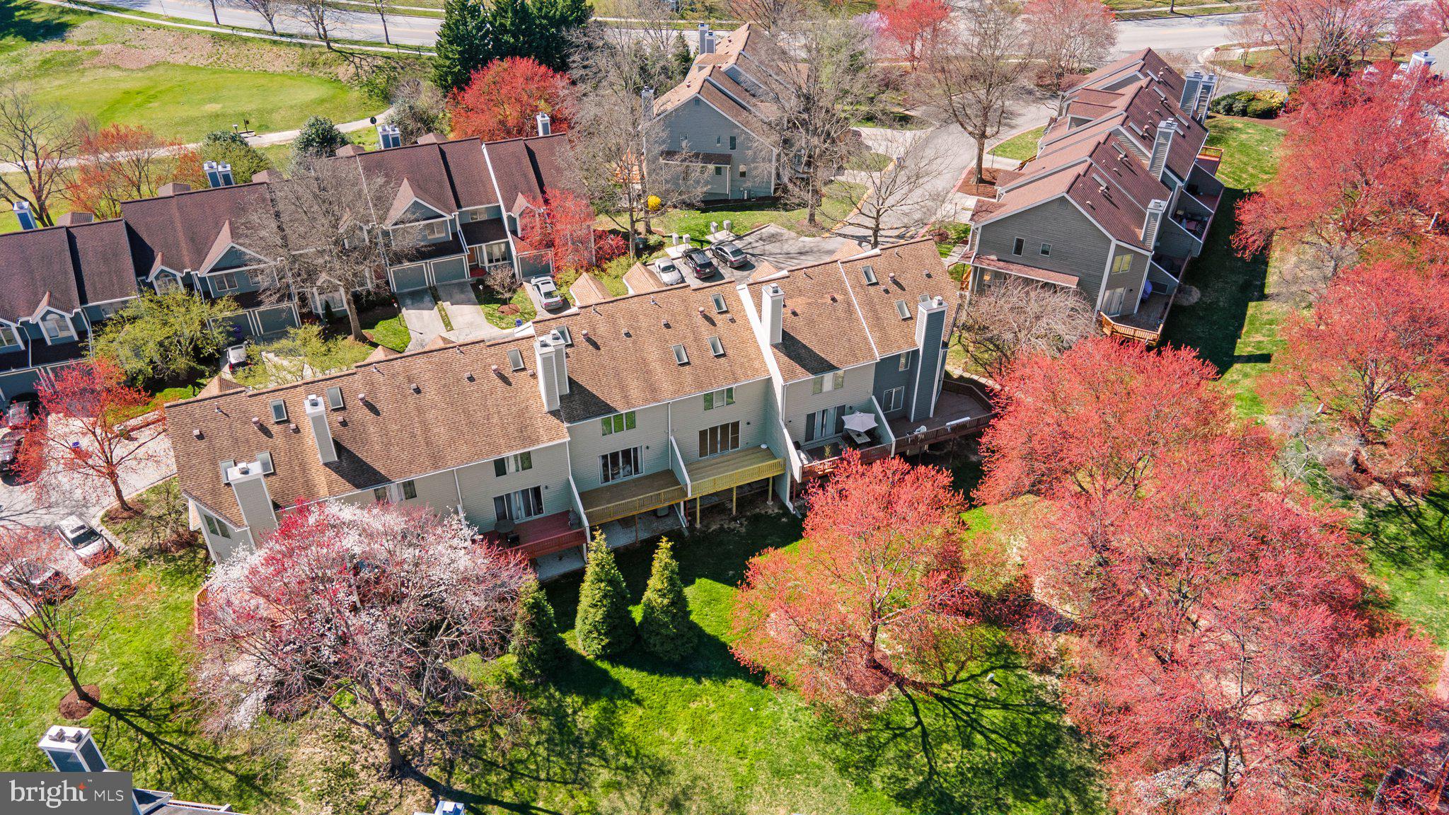 DORSEY SEARCH - Residential