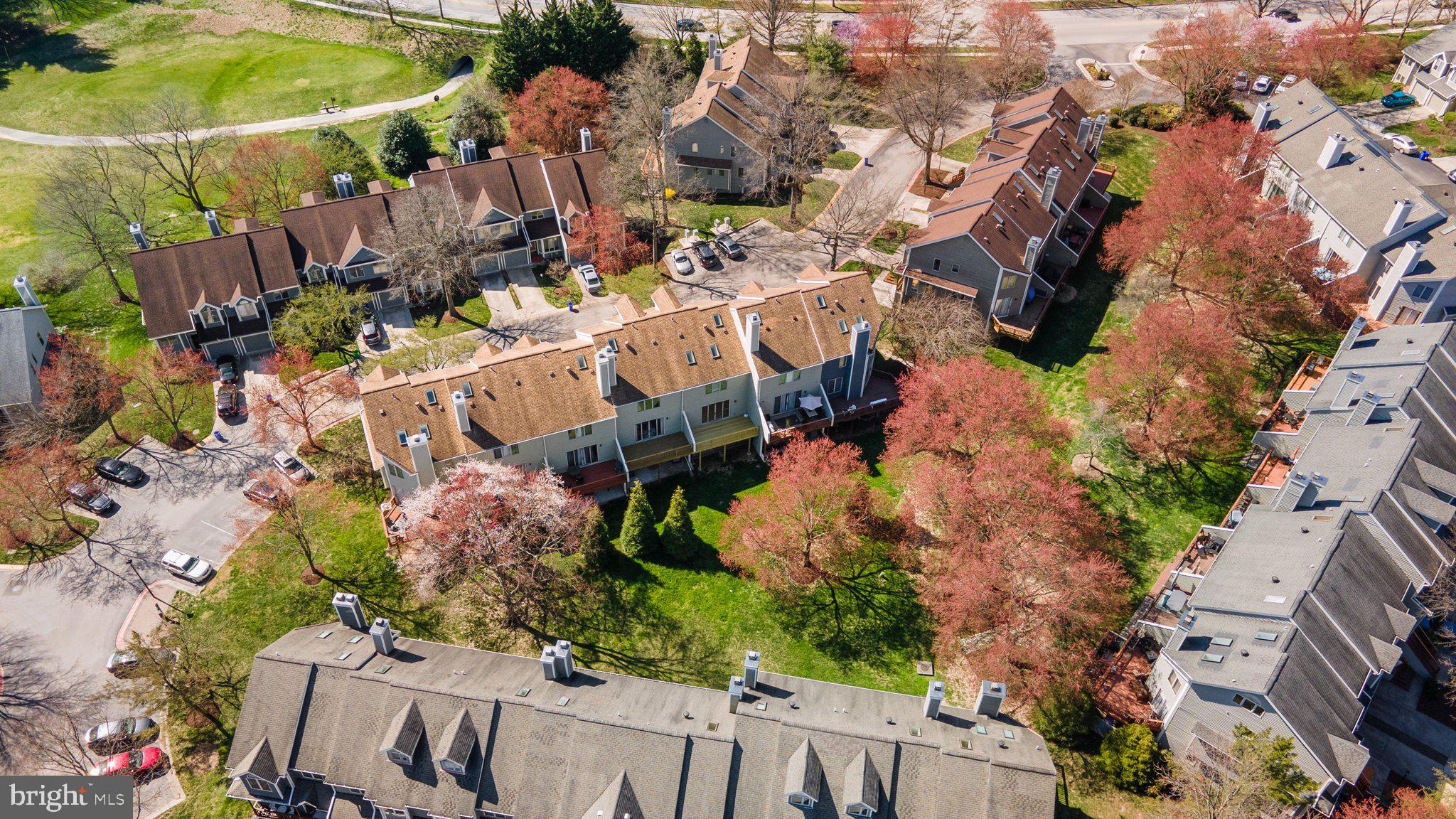 DORSEY SEARCH - Residential