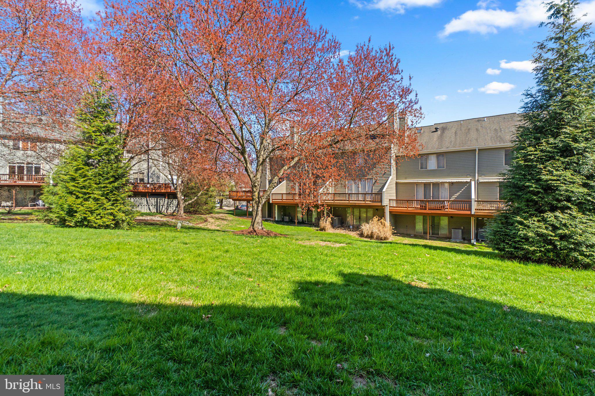 DORSEY SEARCH - Residential