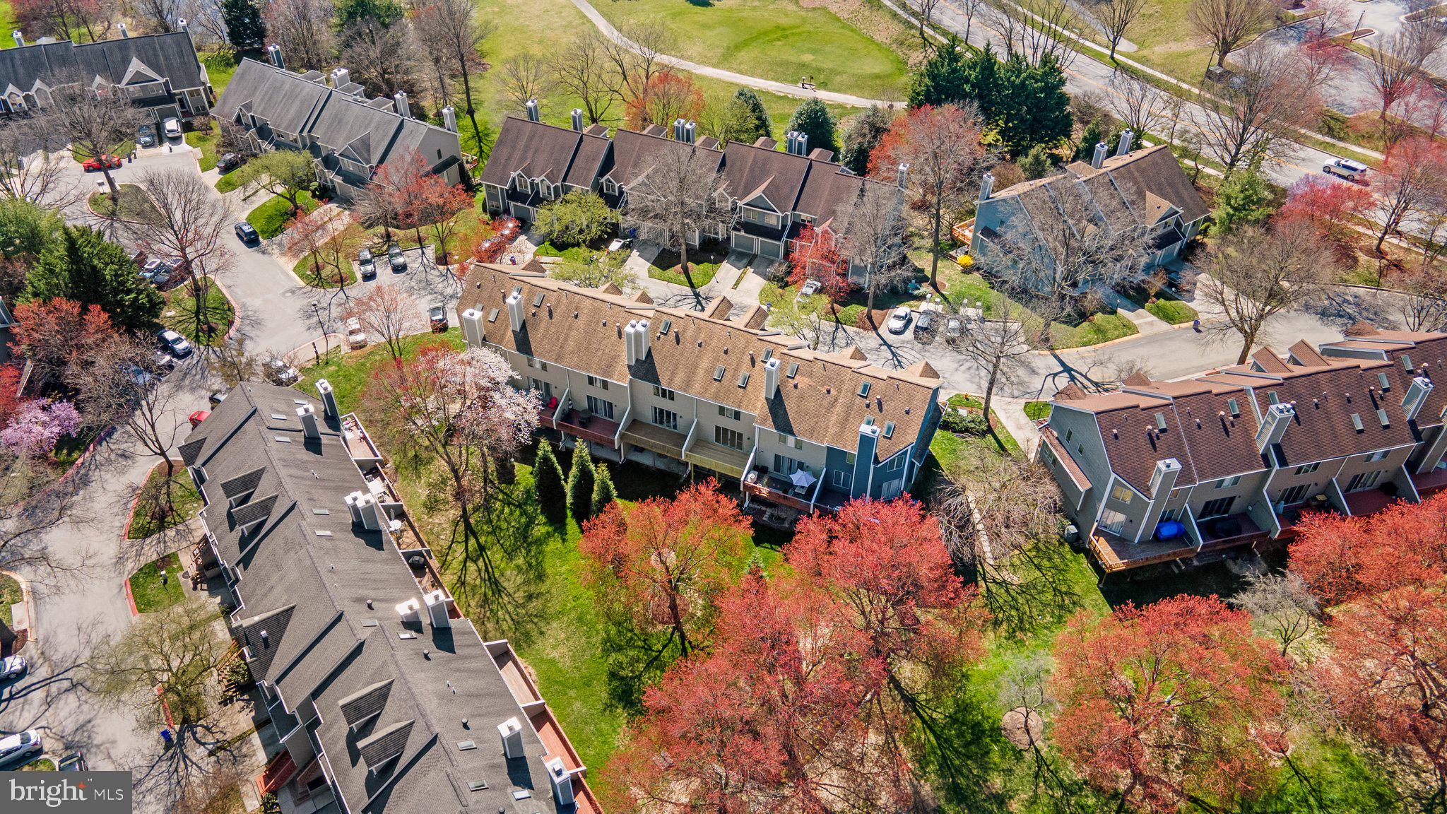 DORSEY SEARCH - Residential