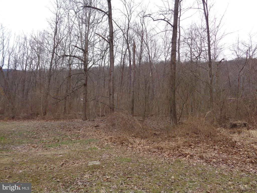 Aldsworth Lane, Mt Union, PA 17066