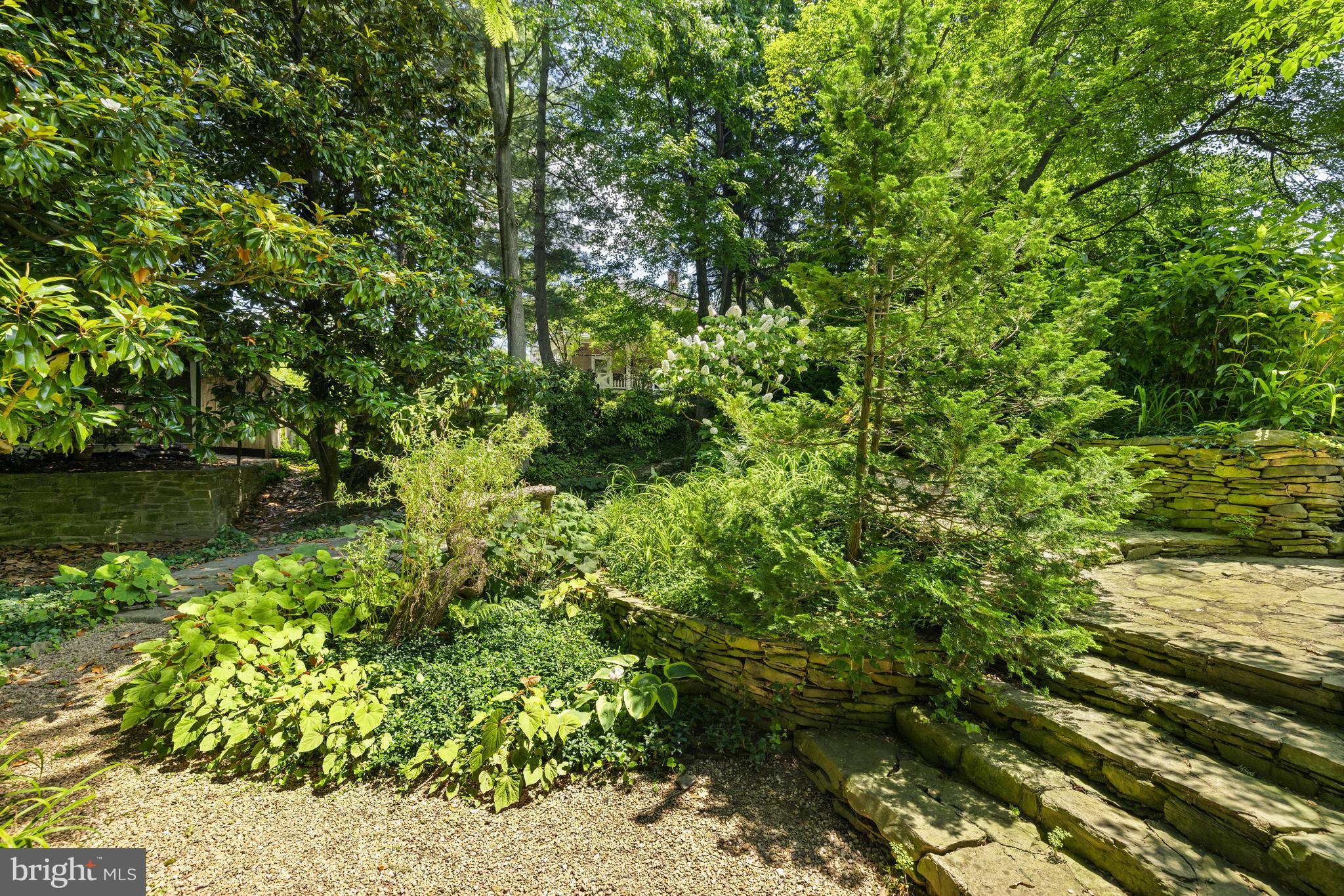 CLEVELAND PARK - Residential