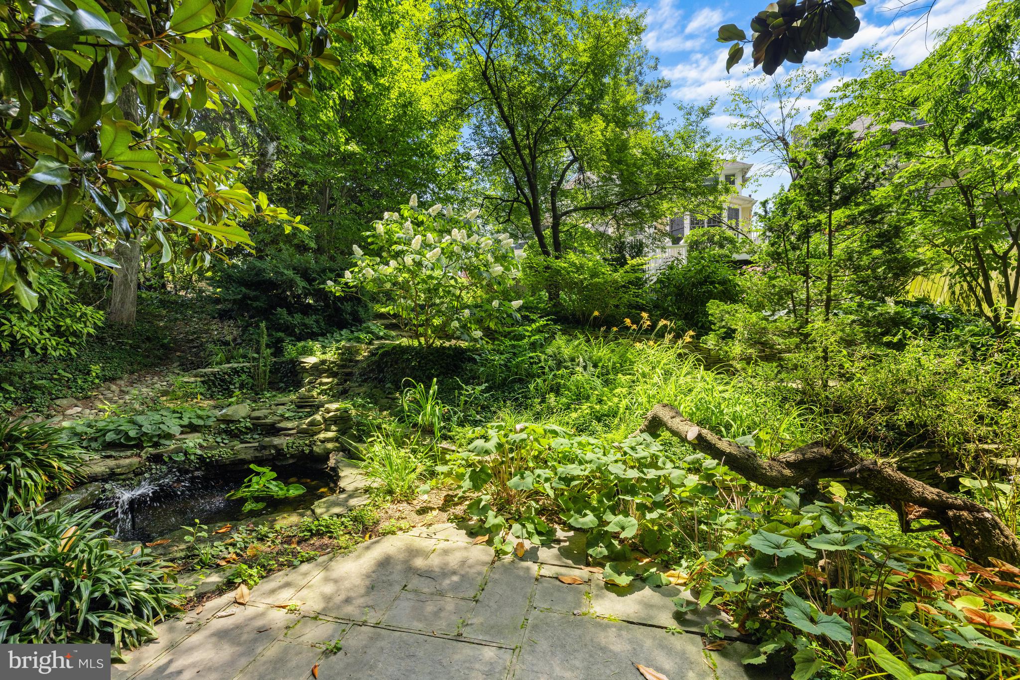 CLEVELAND PARK - Residential
