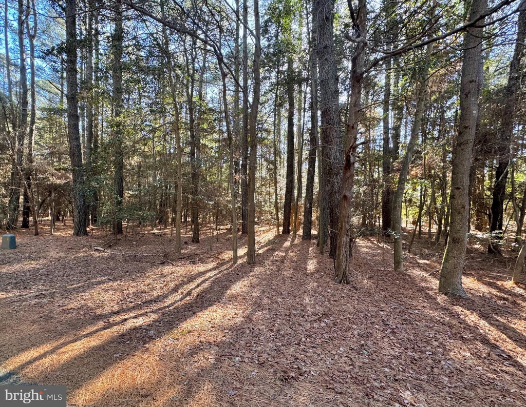 Photo of Lot 831 Castaway Drive, GREENBACKVILLE, VA 23356 (MLS # VAAC2002566)