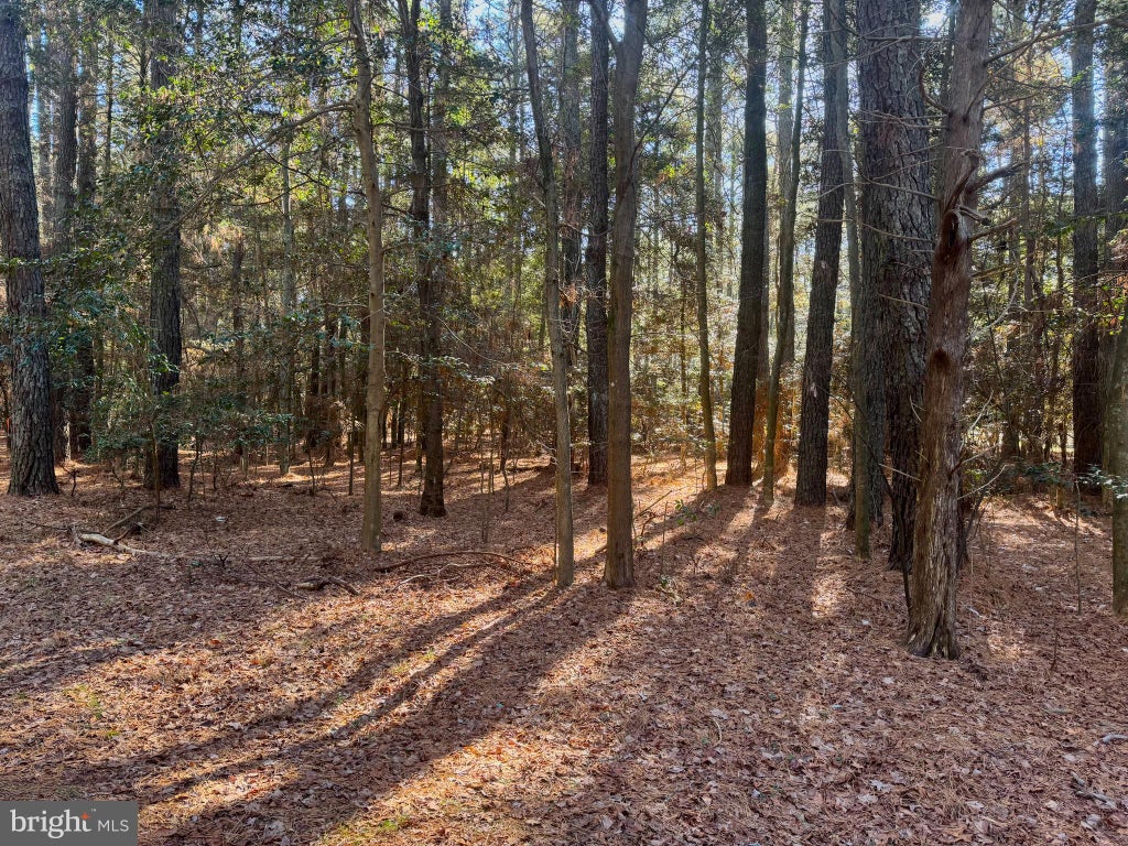 Photo of Lot 831 Castaway Drive, GREENBACKVILLE, VA 23356 (MLS # VAAC2002566)