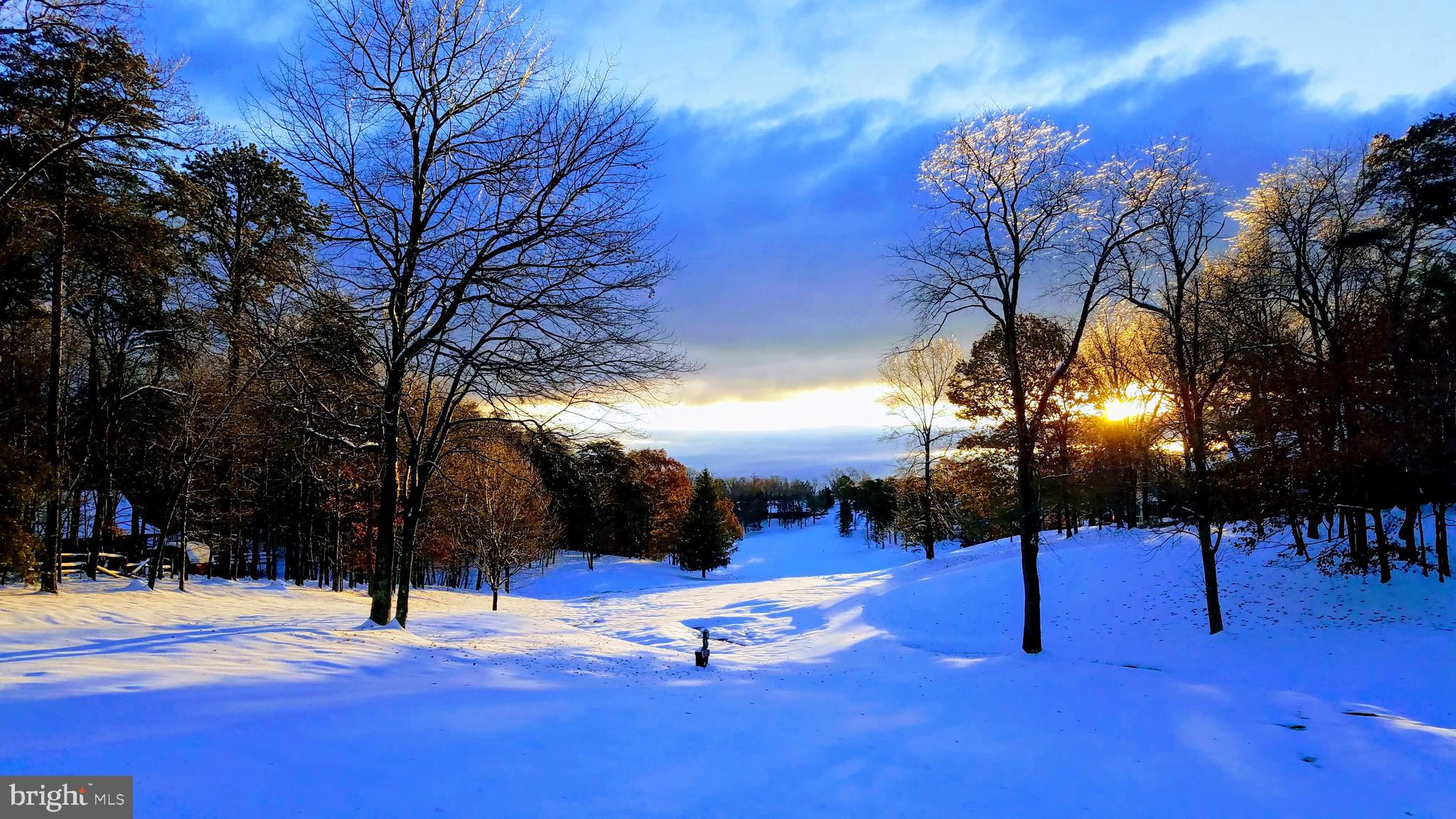 THE WOODS - Residential