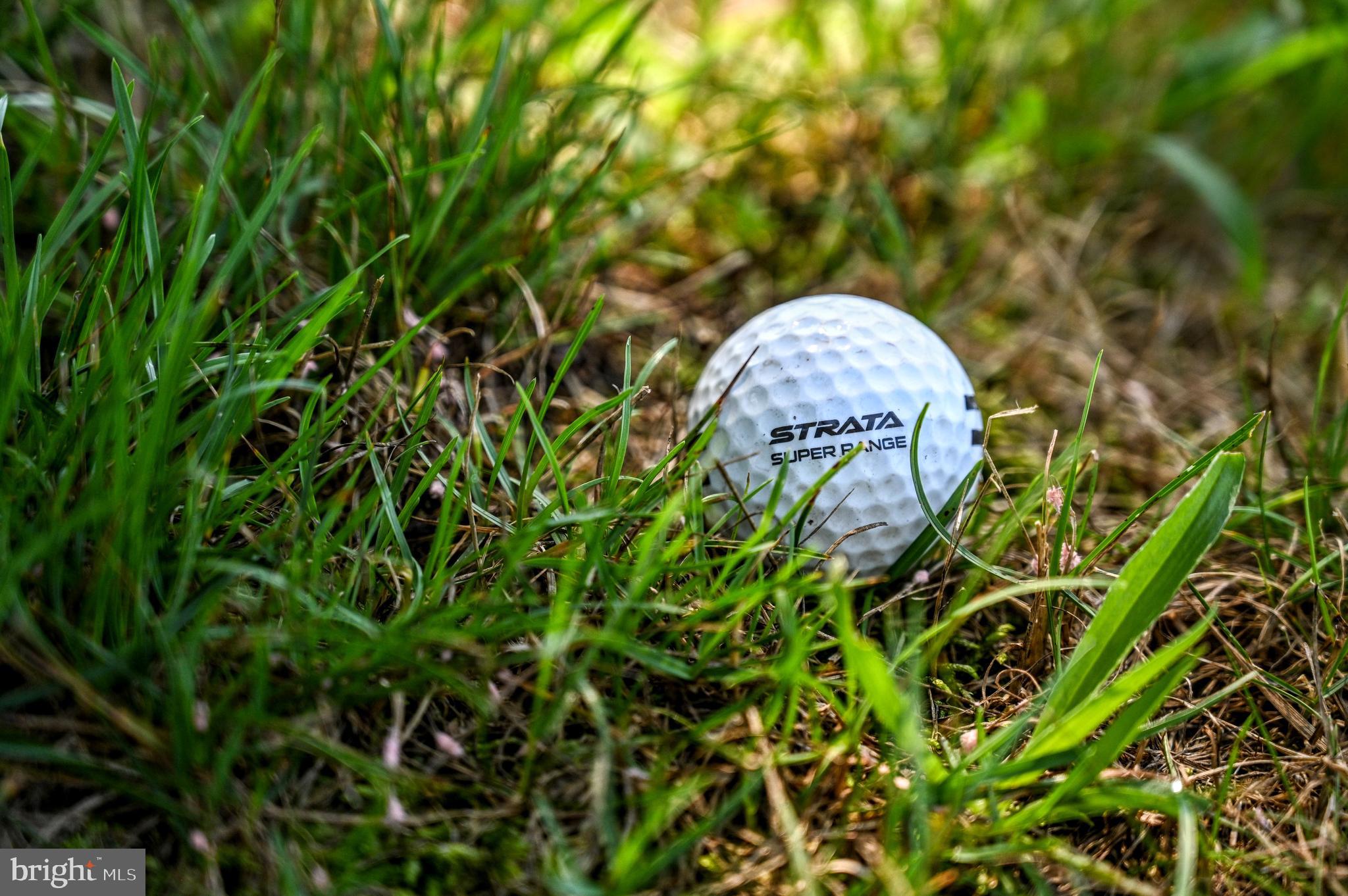 THE WOODS - Residential