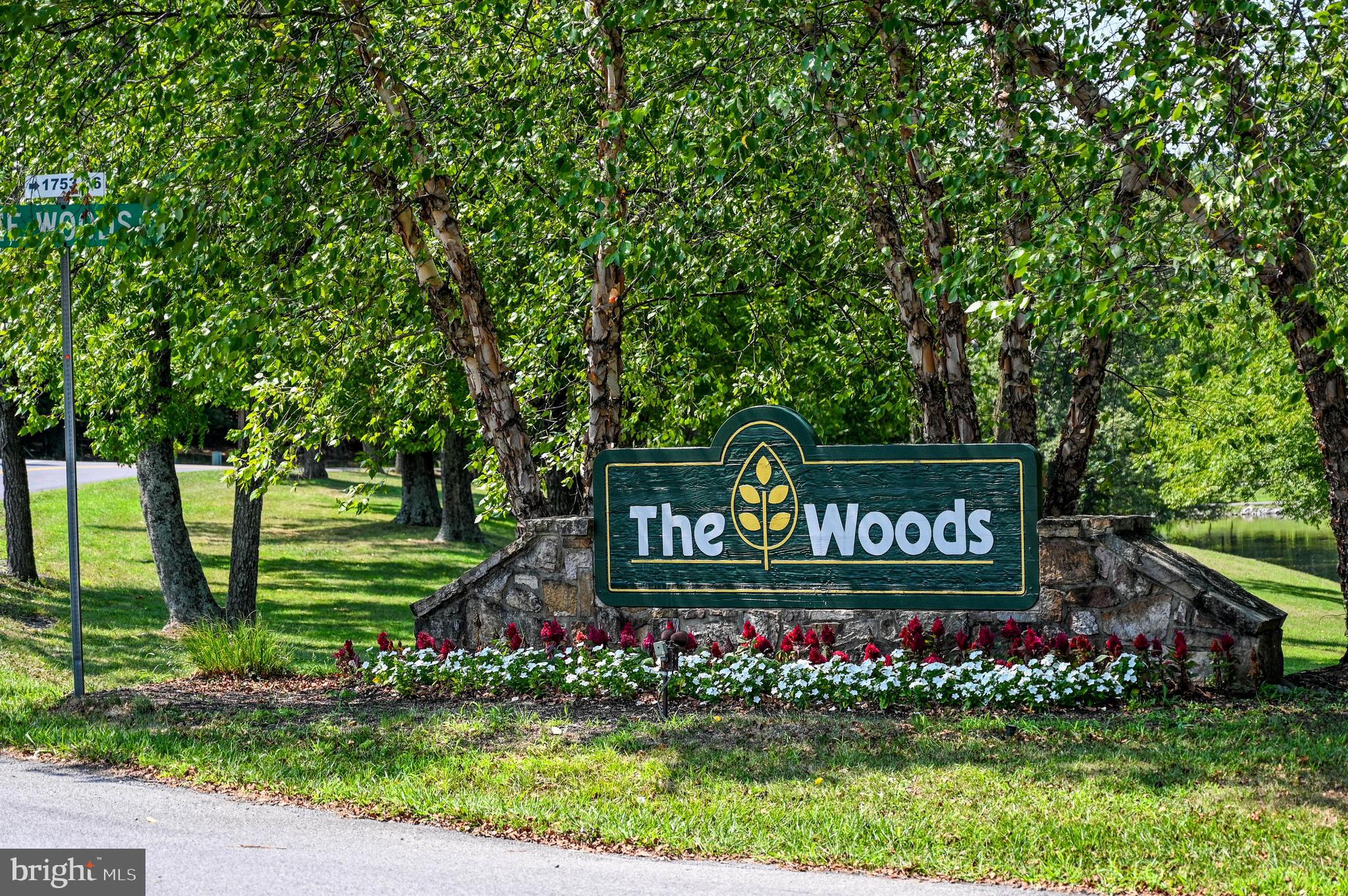 THE WOODS - Residential