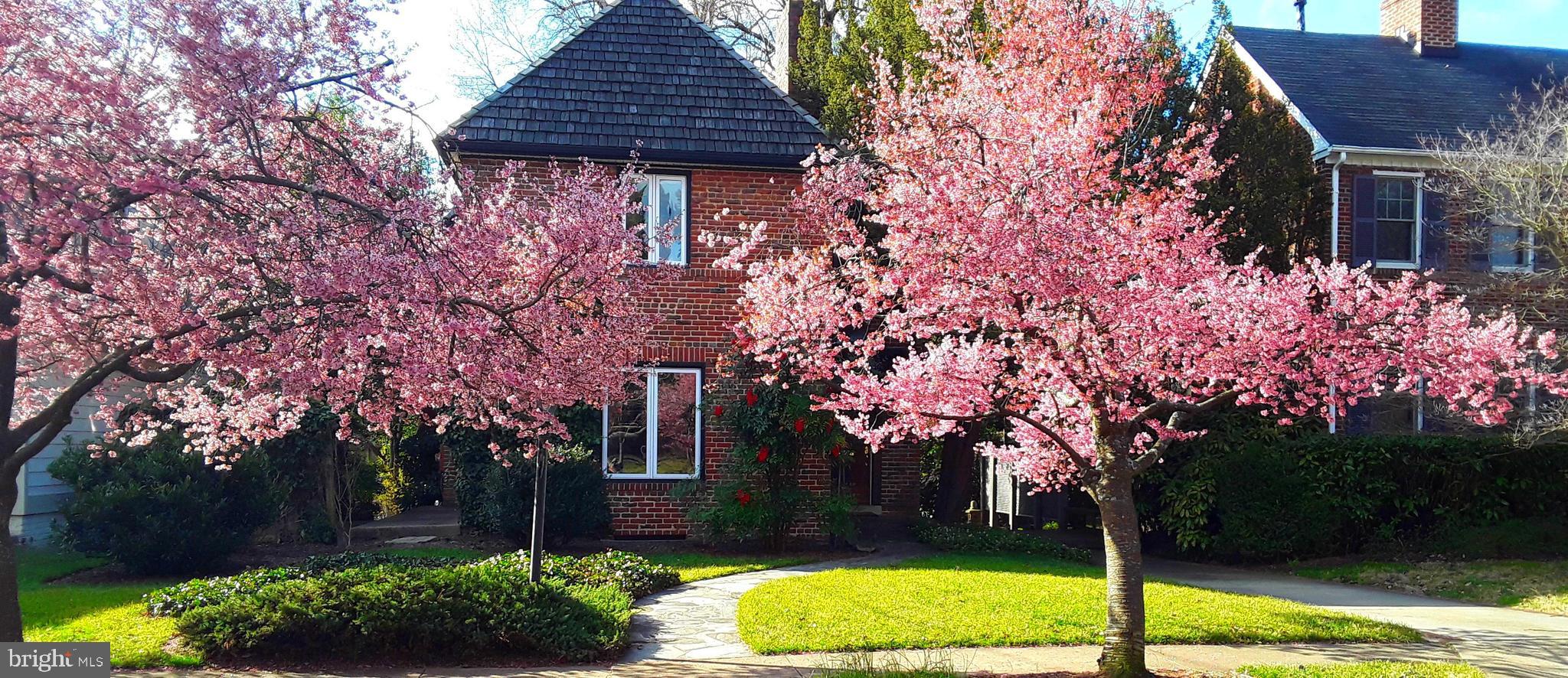WAVERLY HILLS - Residential