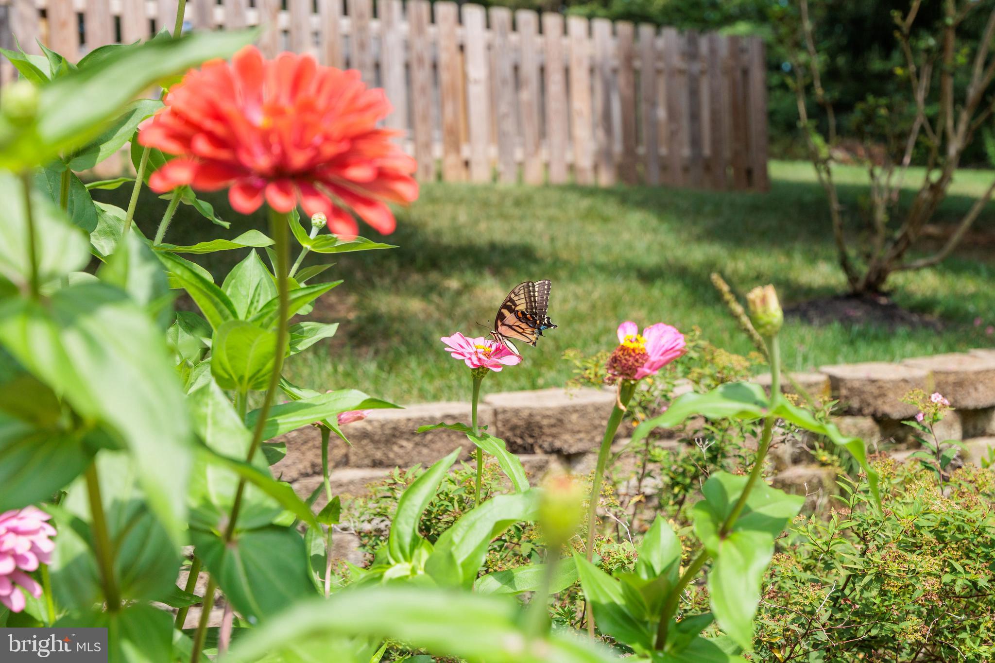 SALISBURY - Residential