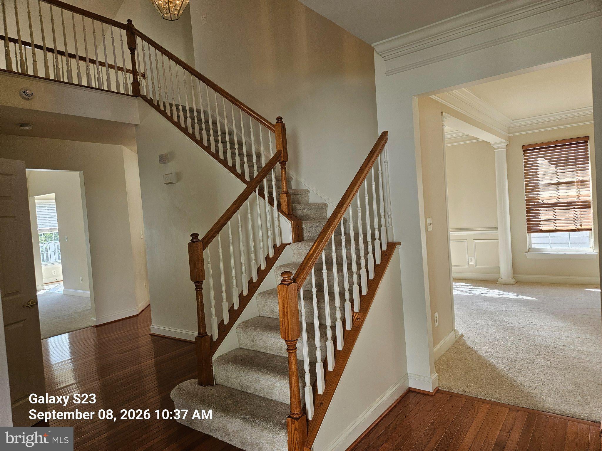 234 WHIRLAWAY LANE