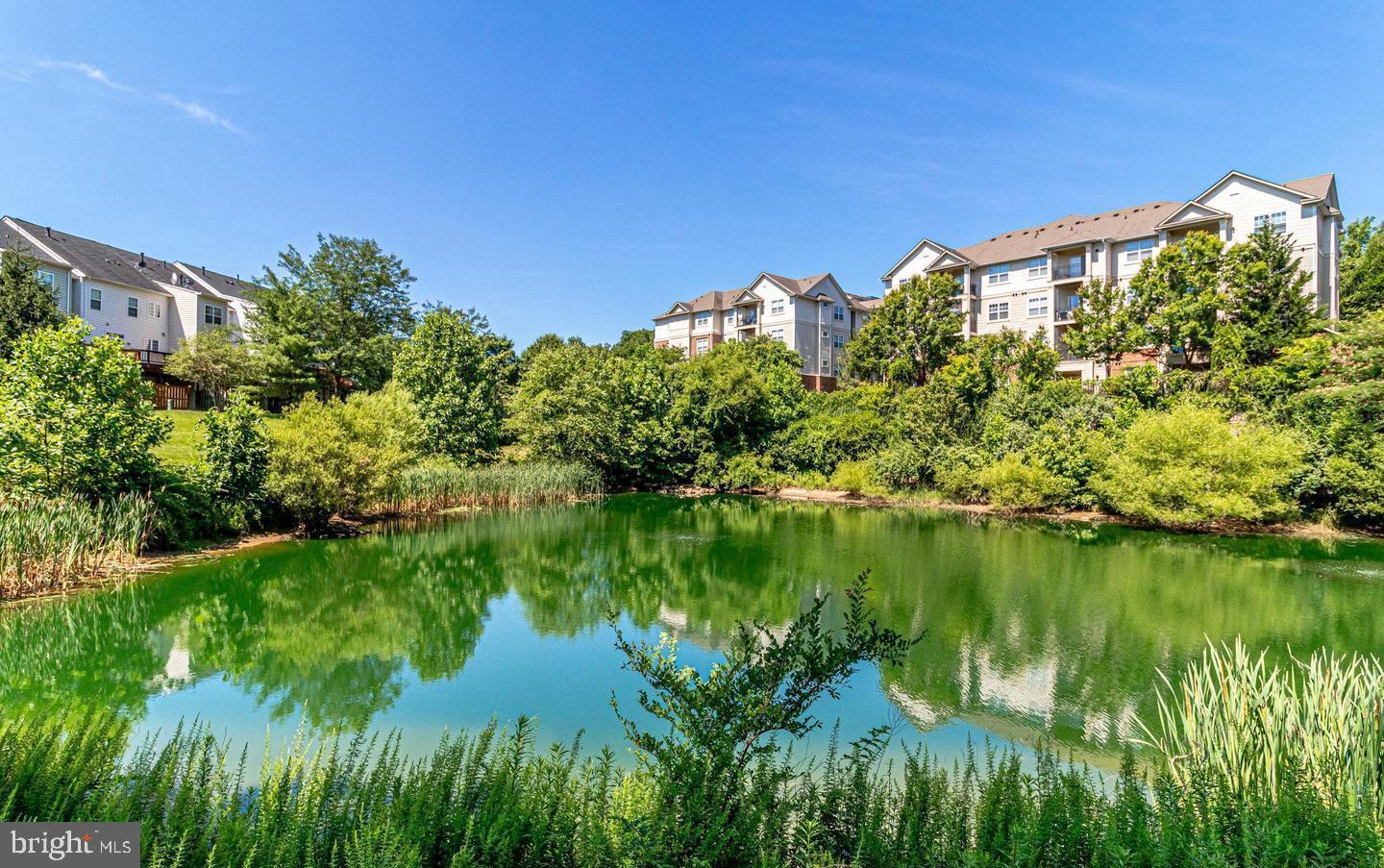 FAIR CHASE - Residential