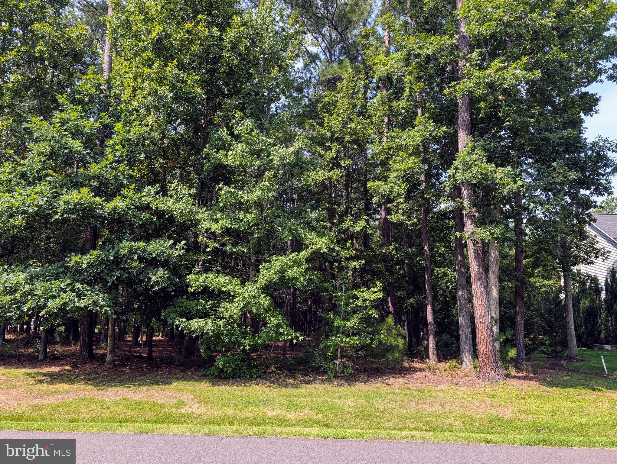 10516 WILDBROOKE COURT
