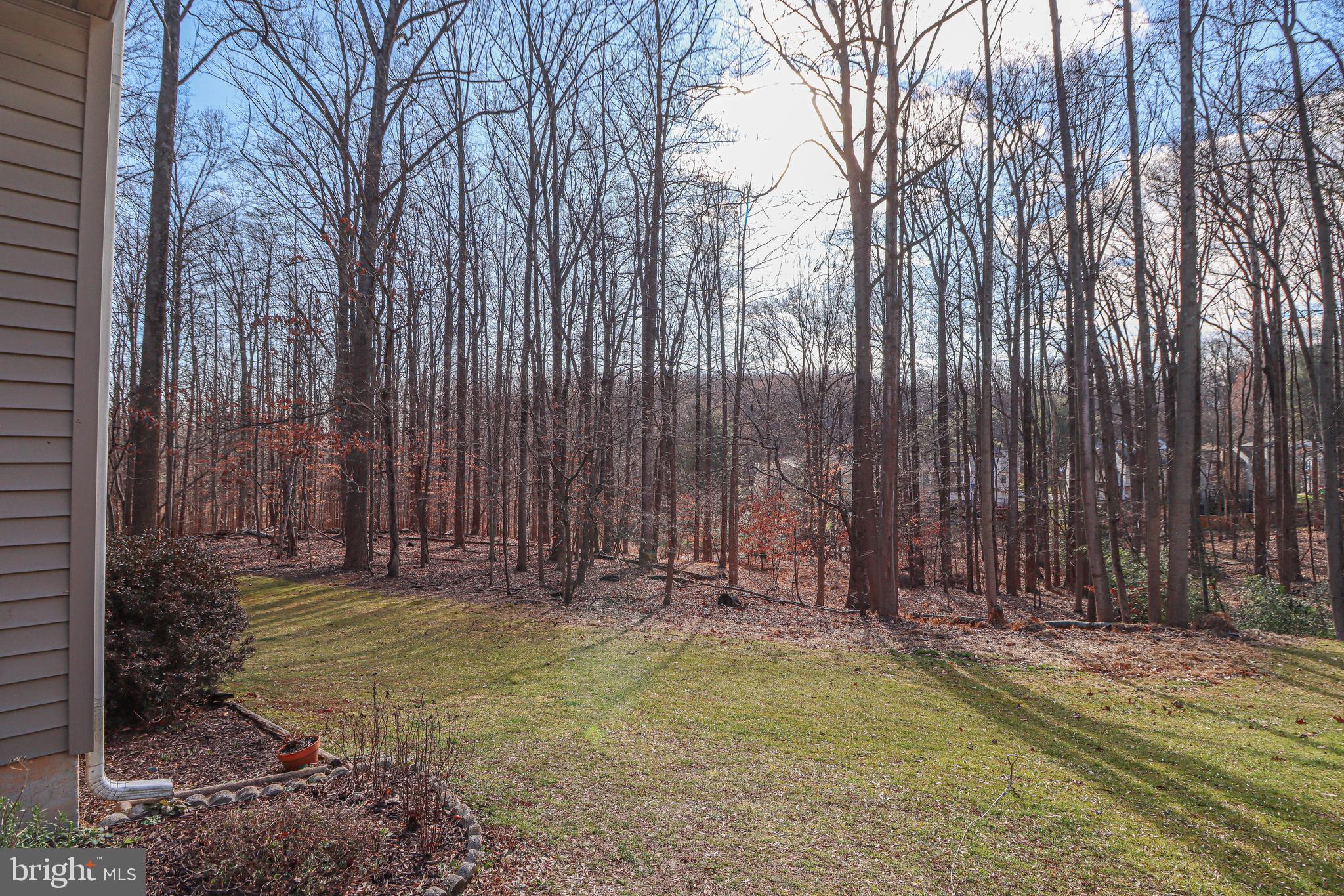 BONIFANT WOODS - Residential