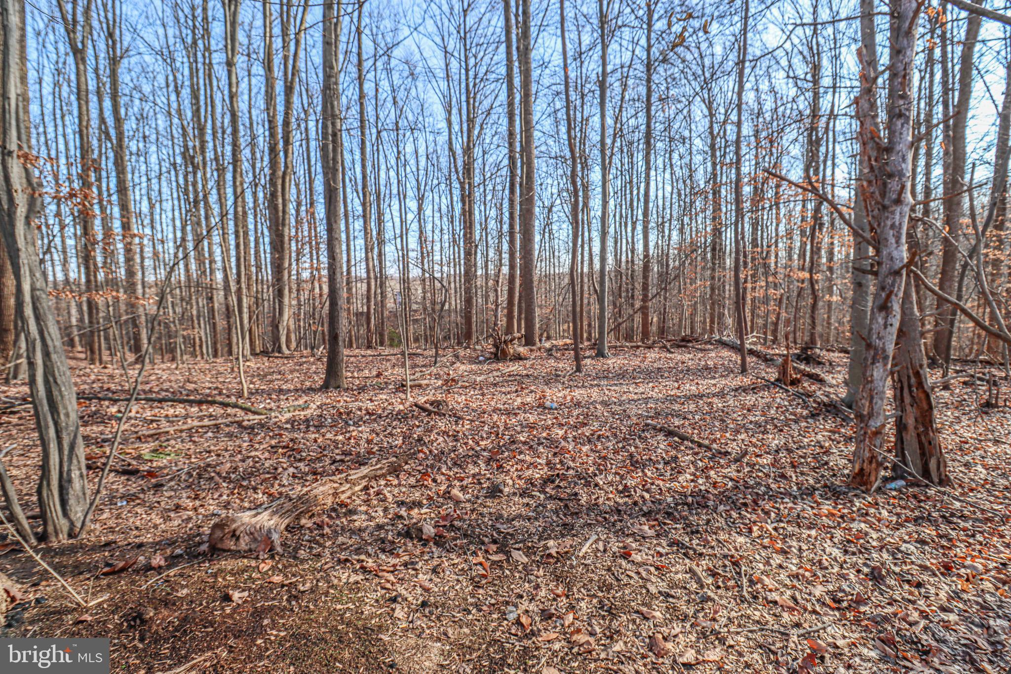 BONIFANT WOODS - Residential